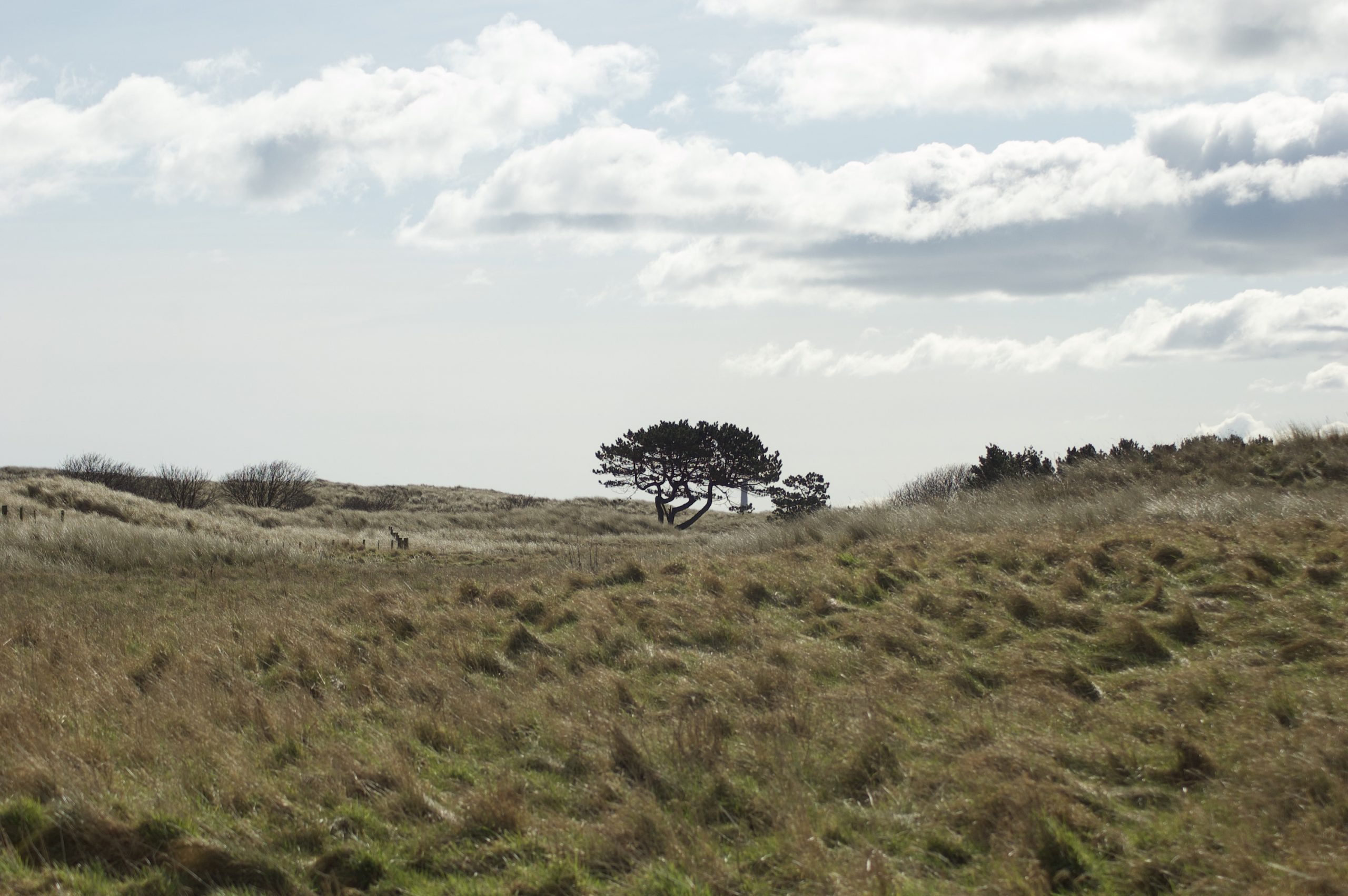 Druridge Dunes