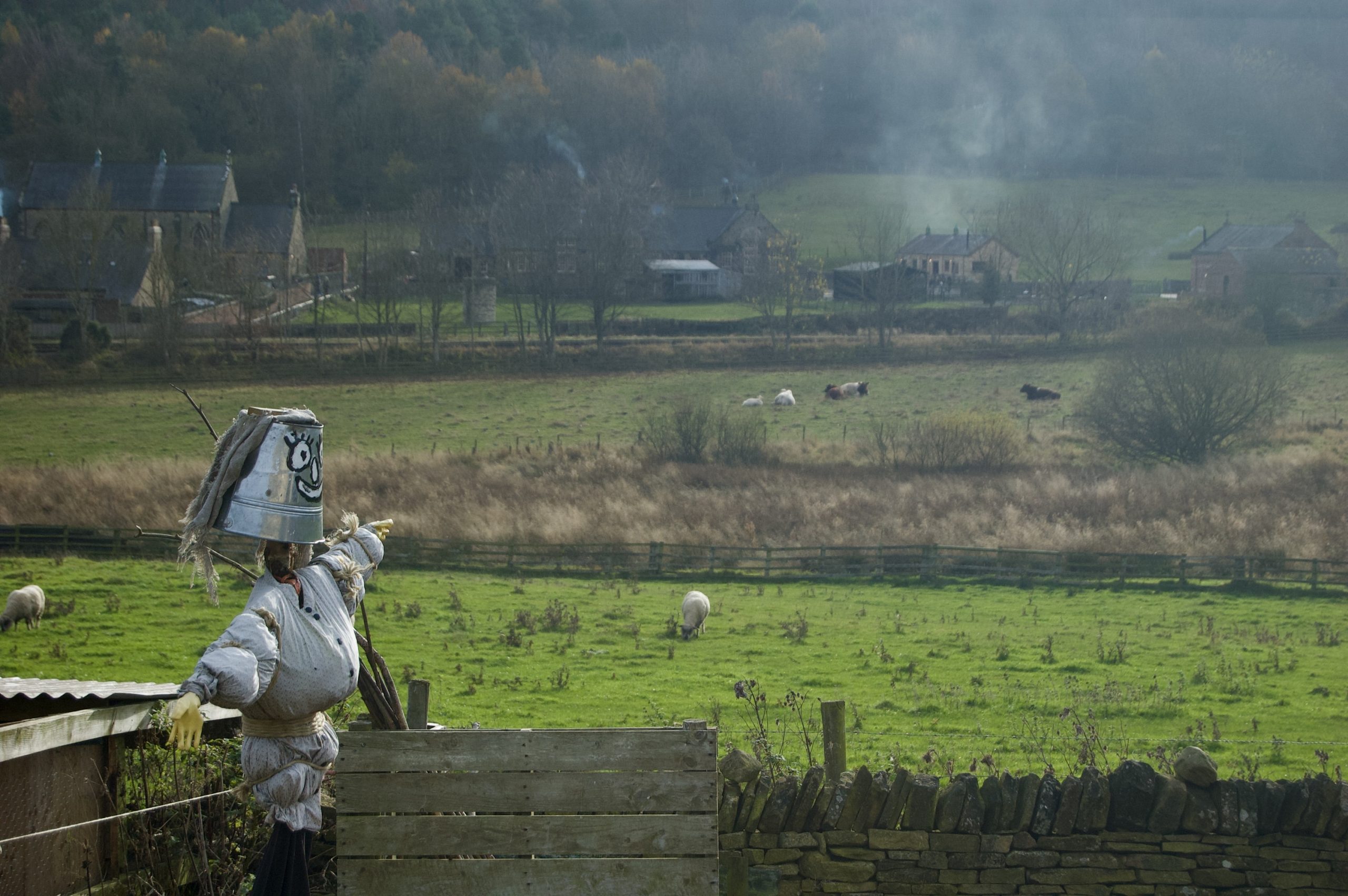 Master Of All I Survey