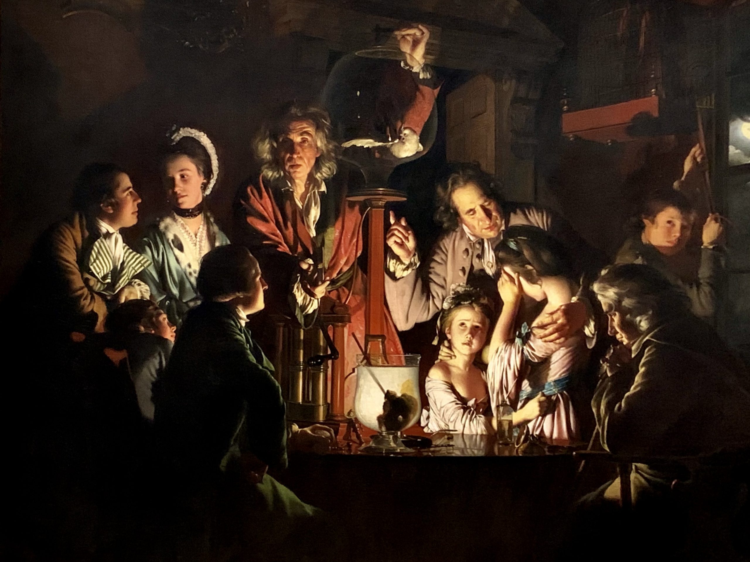 An Experiment on a Bird in the Air Pump