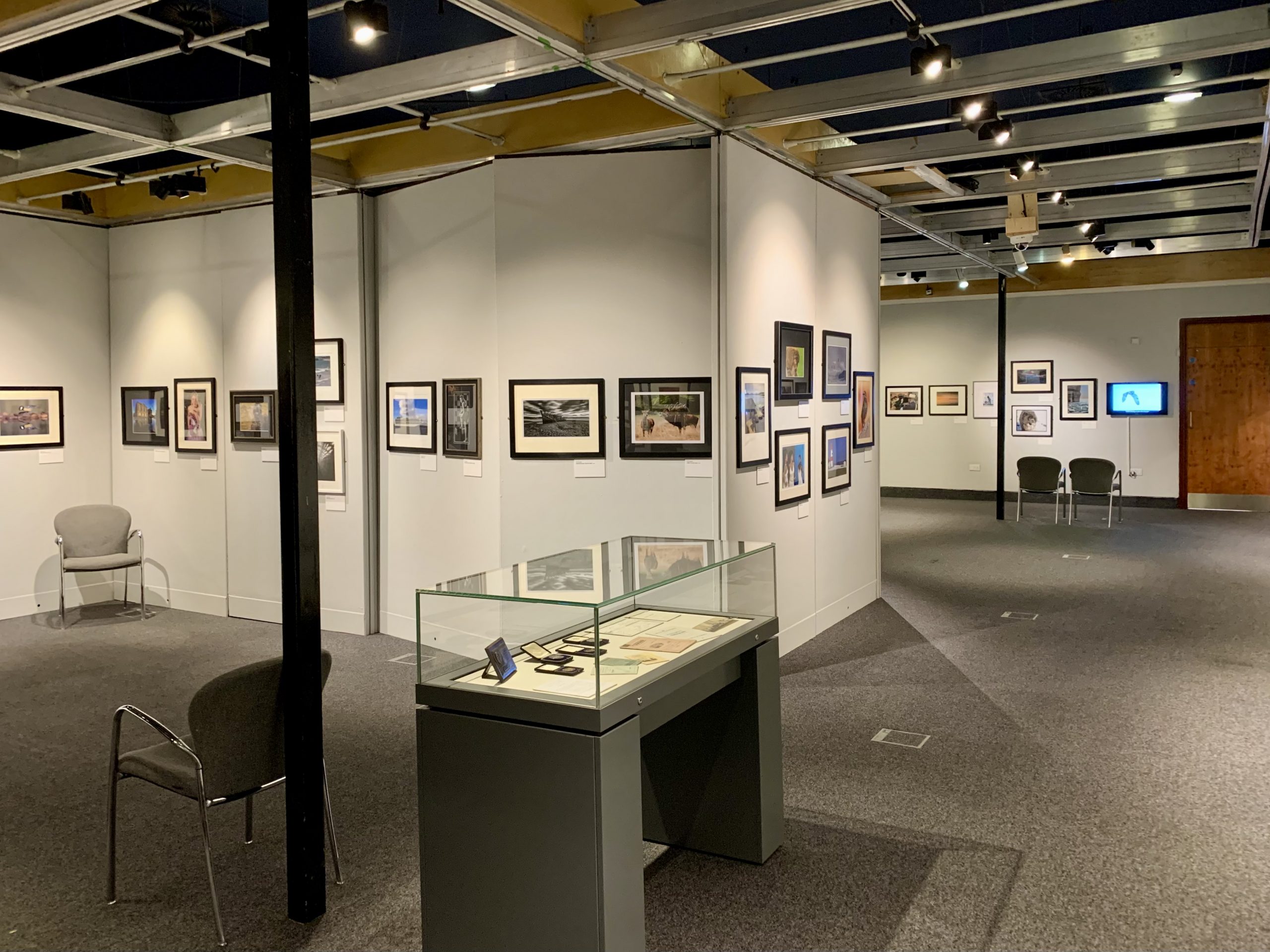 Looking to the Light