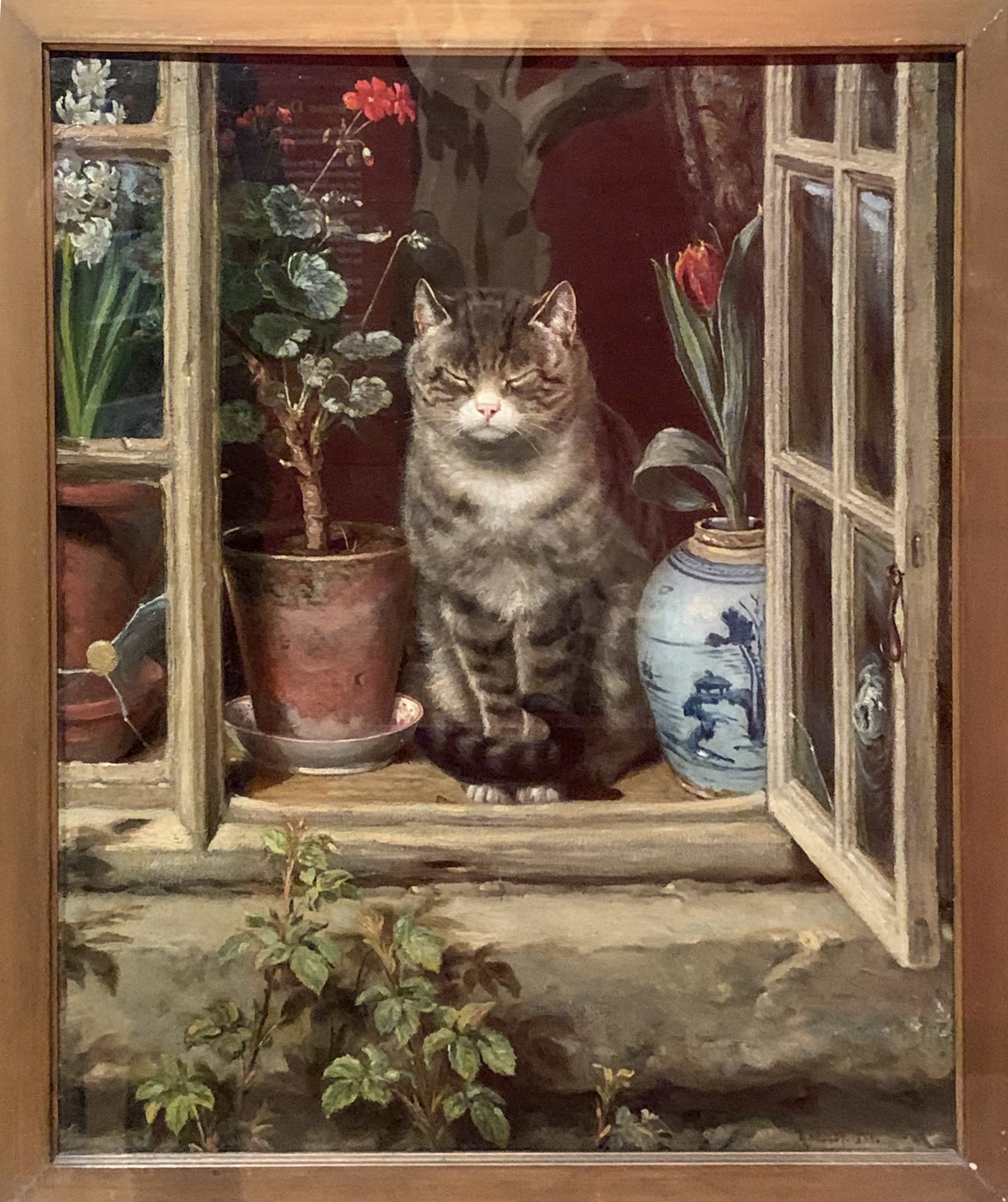 Blinking in the Sun (Cat in a Cottage Window