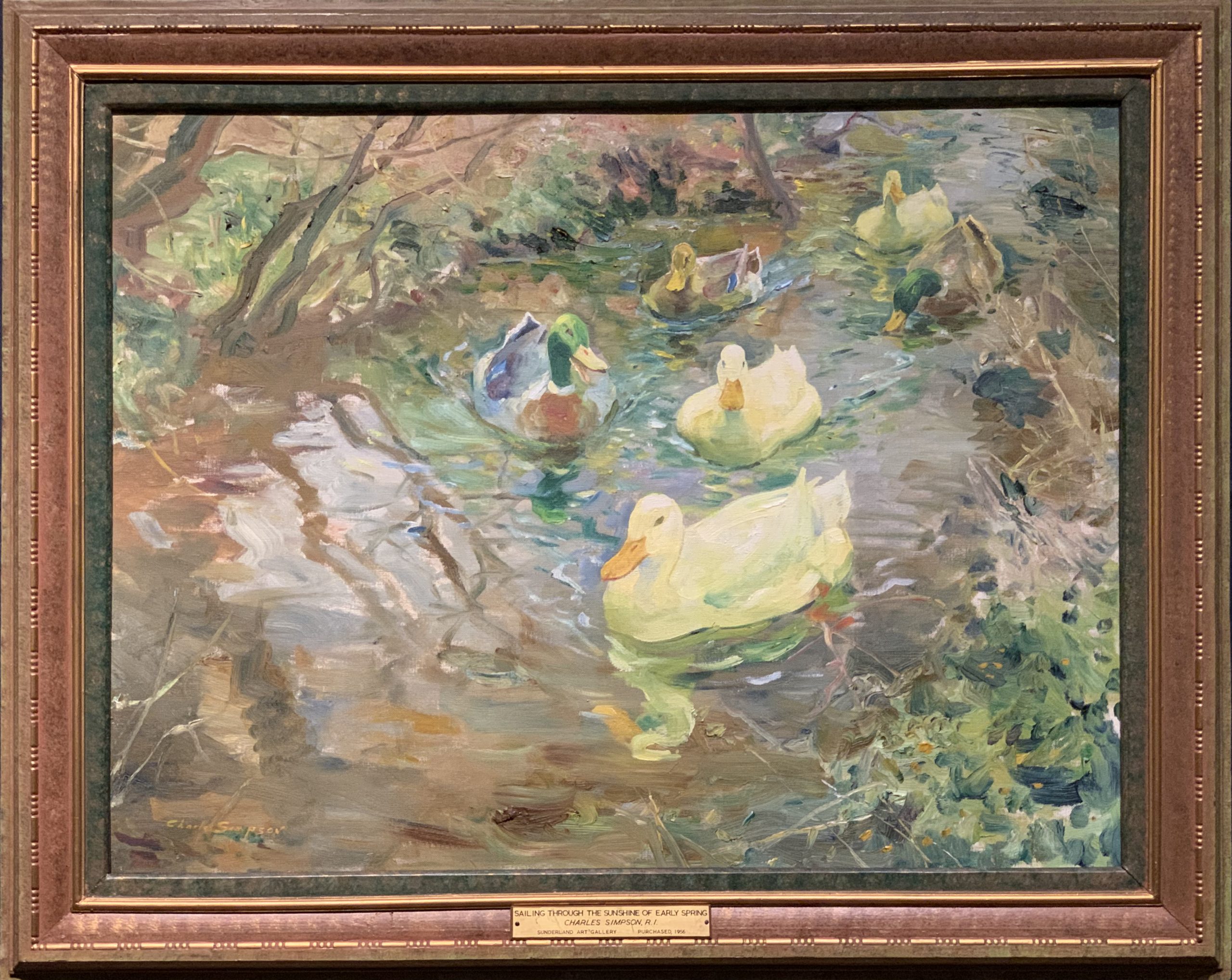 Sailing Through the Sunshine of Early Spring