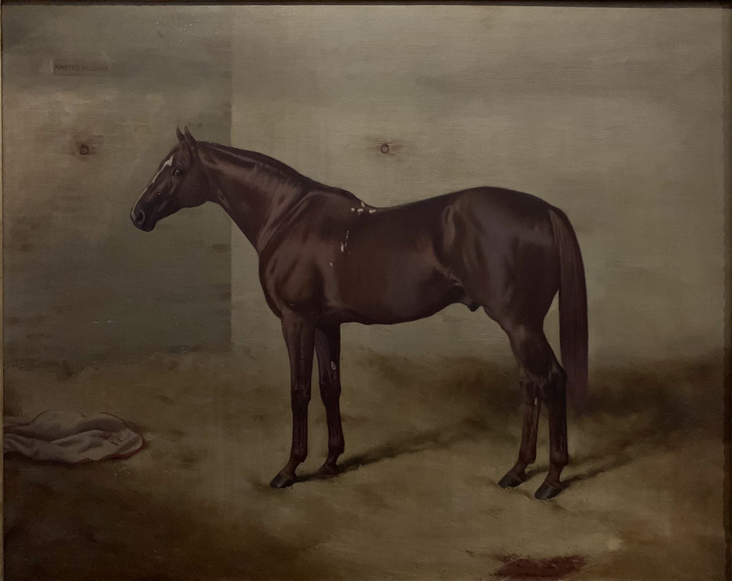 Master Kildare, a Chestnut Hunter, in a Loose Box