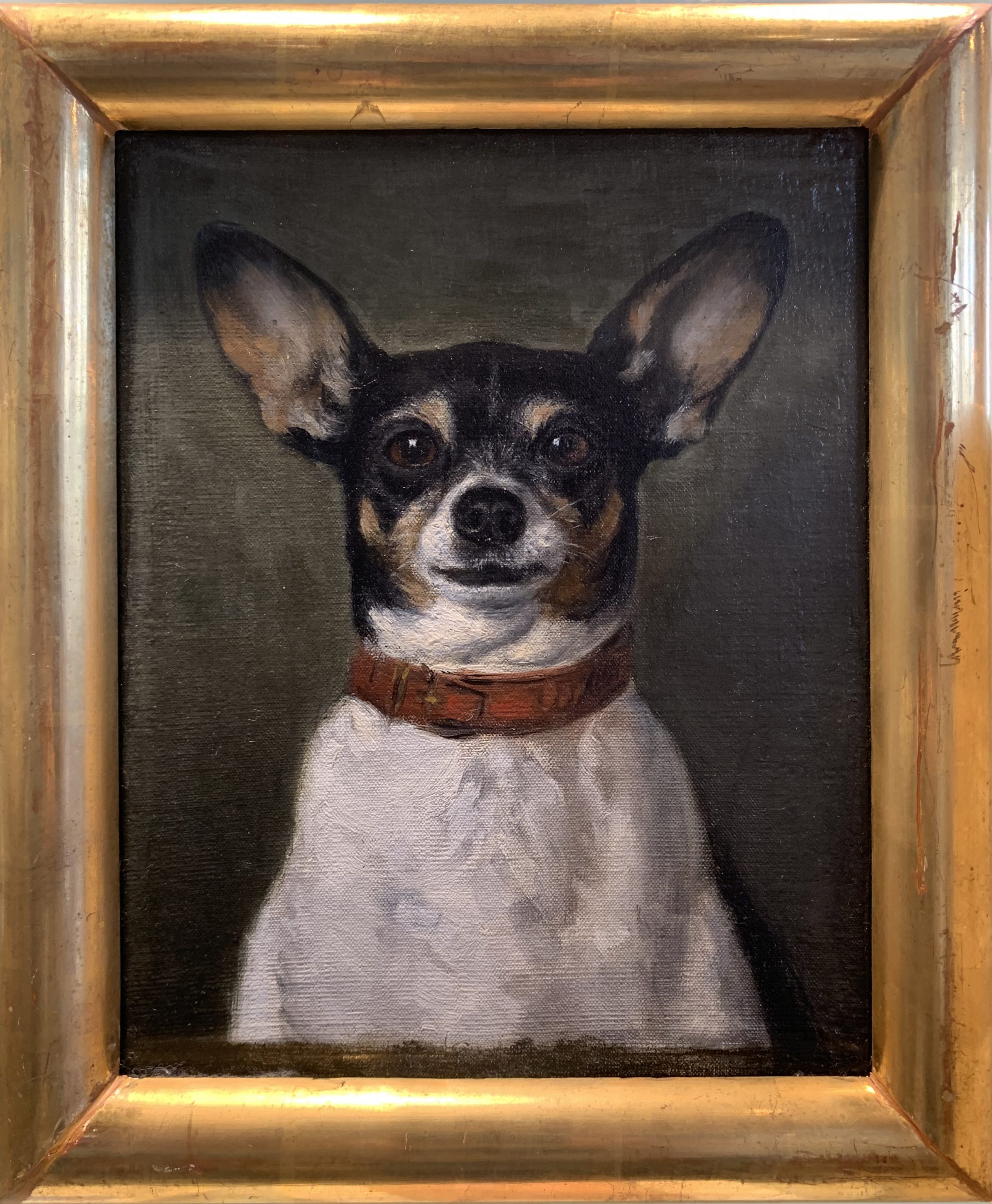 Portrait of a Dog