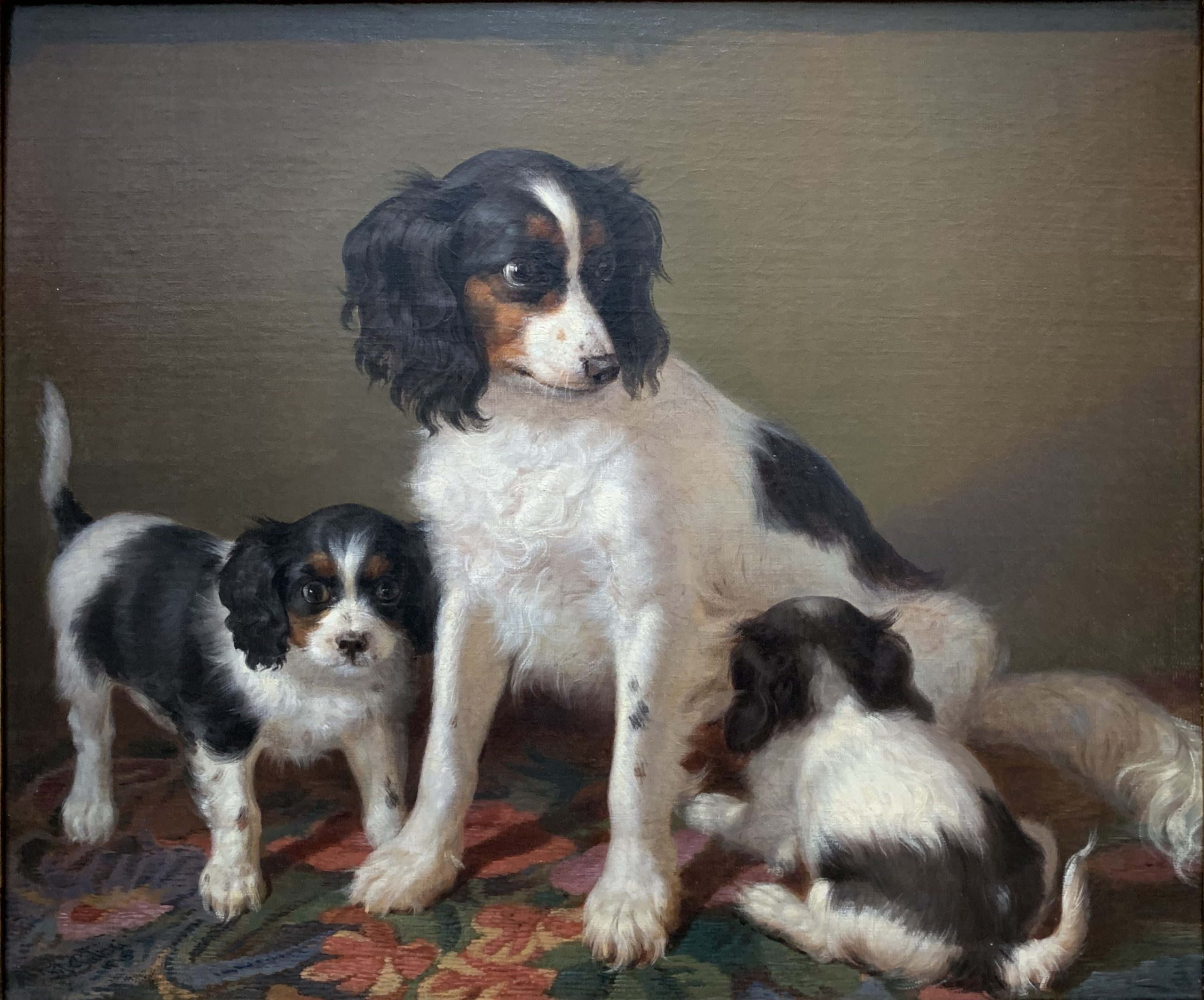 A Spaniel with two Puppies