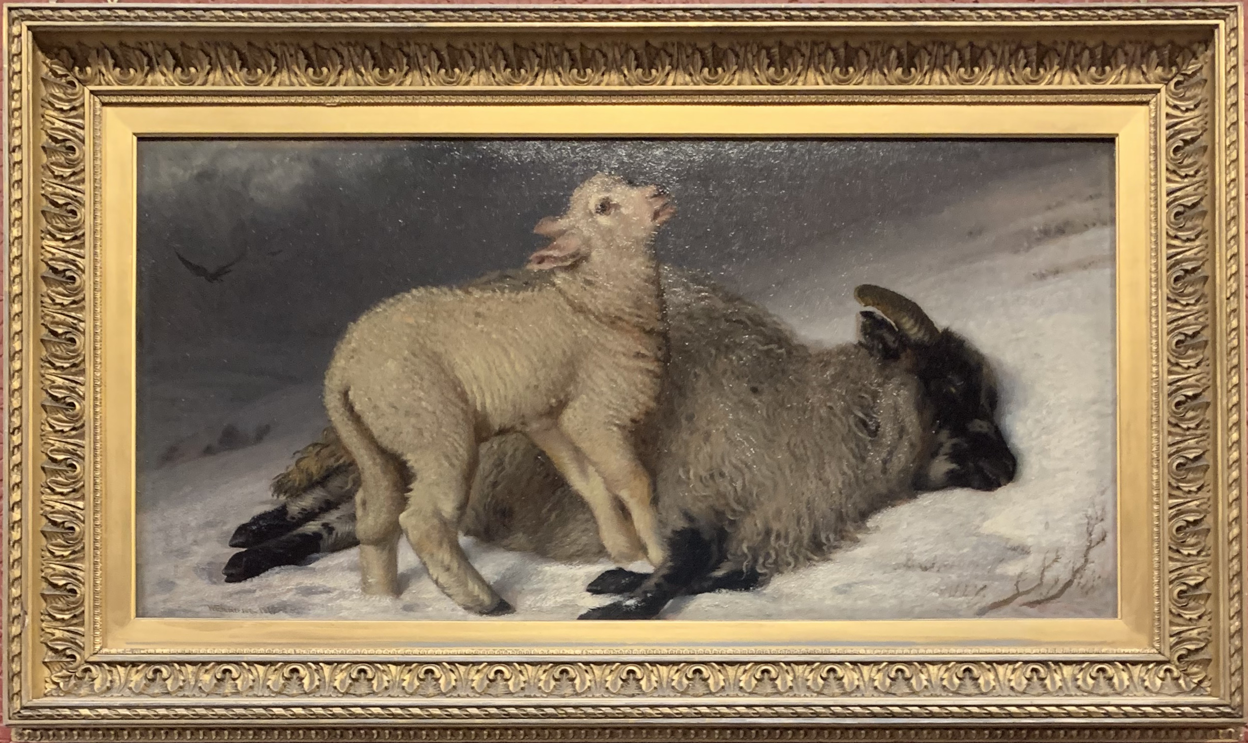 ‘Orphan of the Storm’