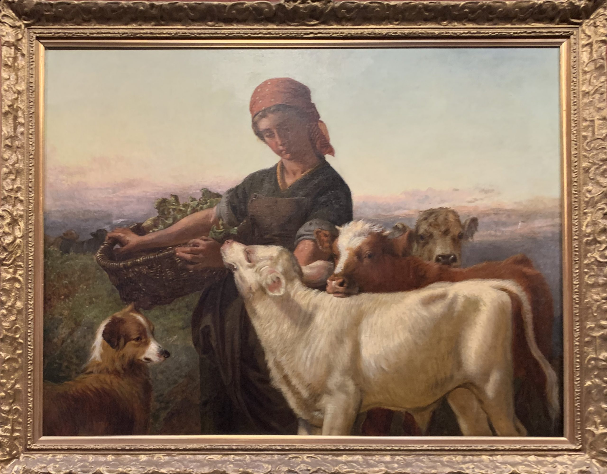 A Farm Girl with Three Calves and ‘Silky’