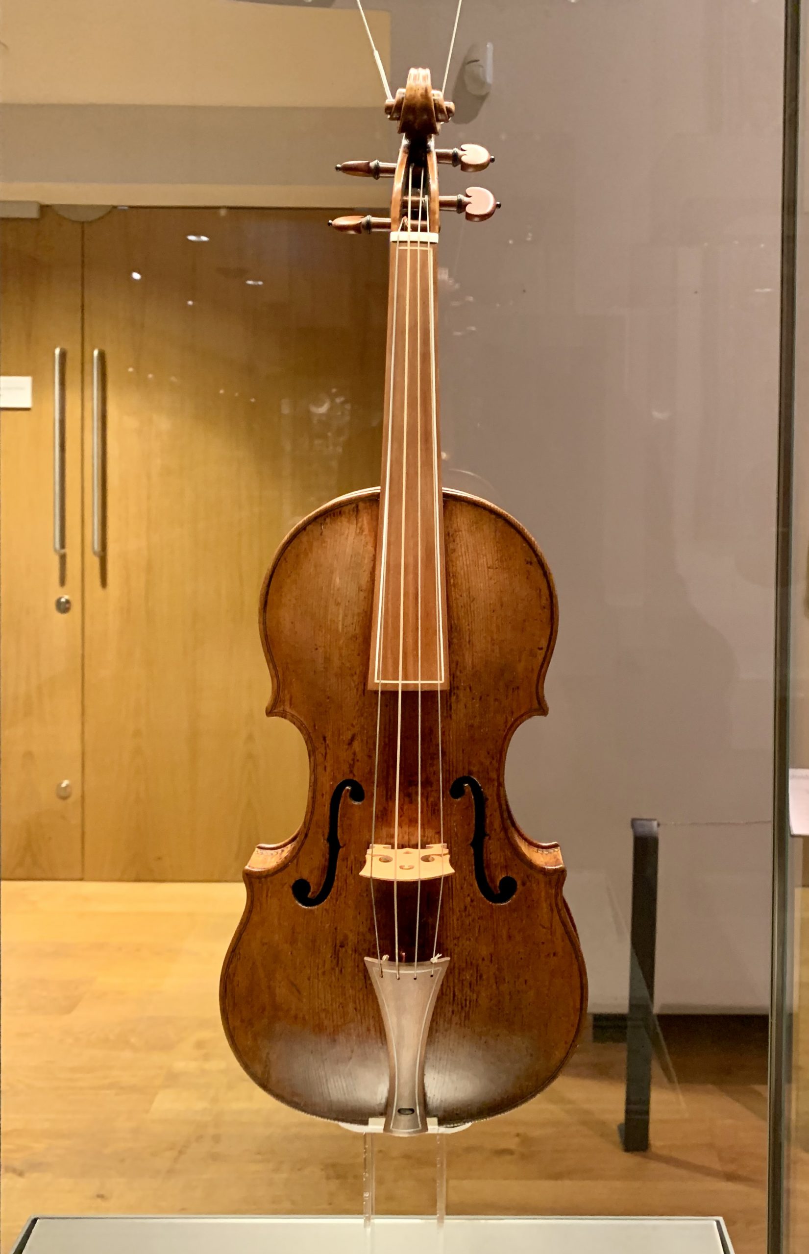 Violin