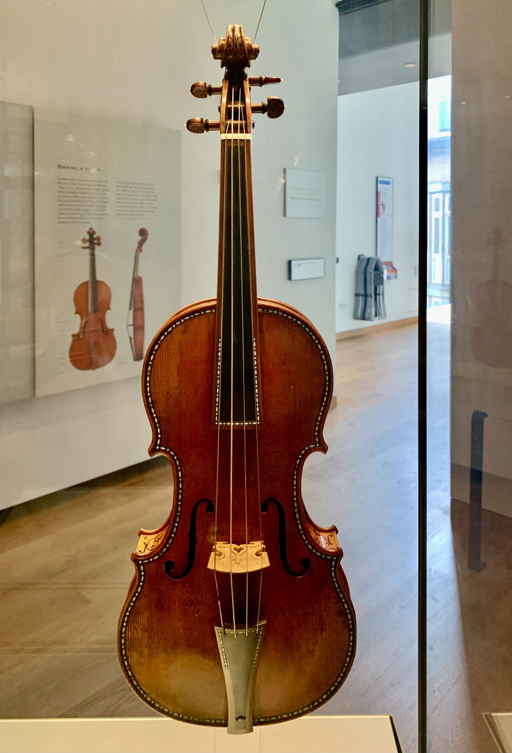 Violin “The Cipriani Potter”