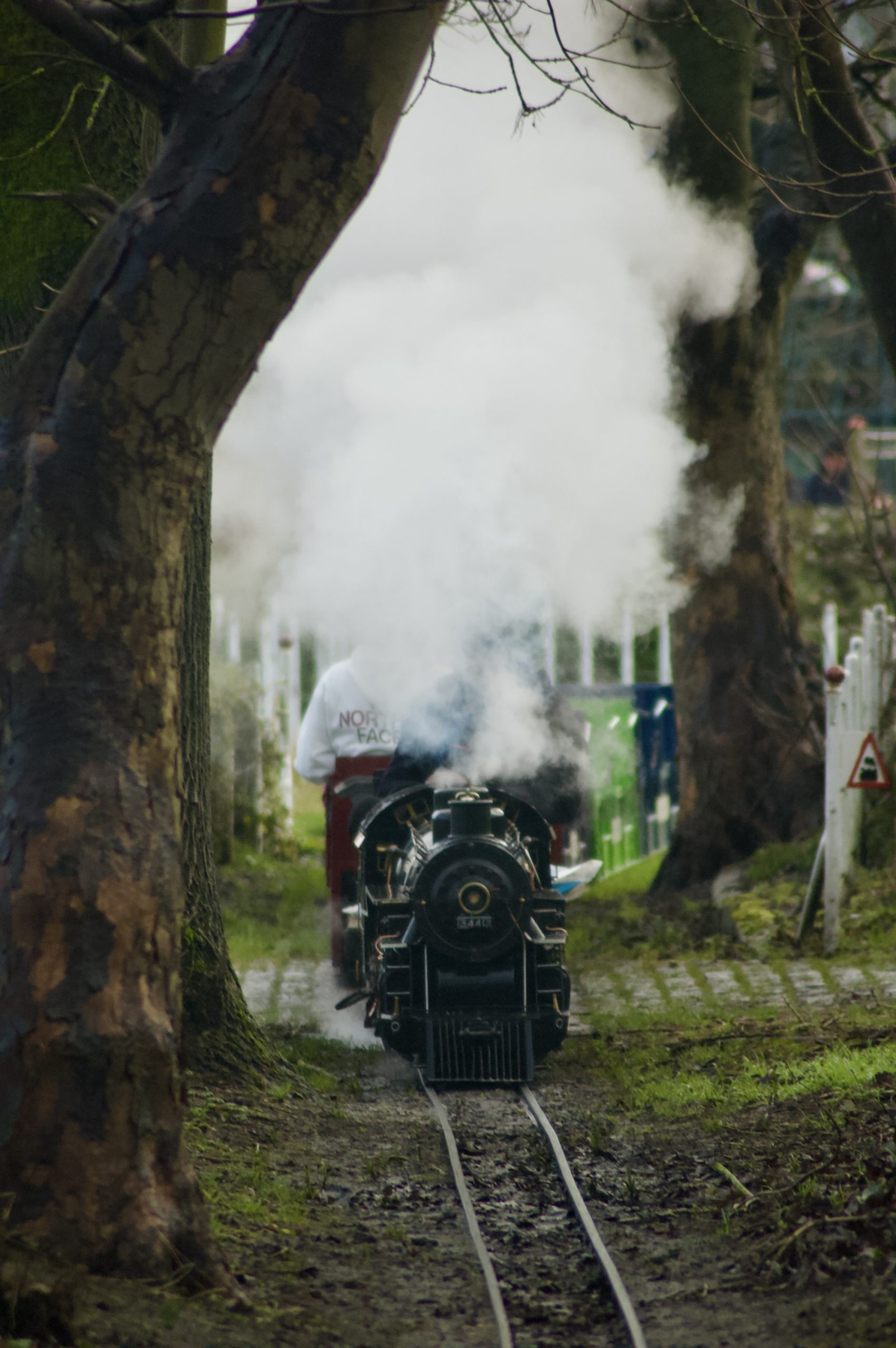 Miniature Railway