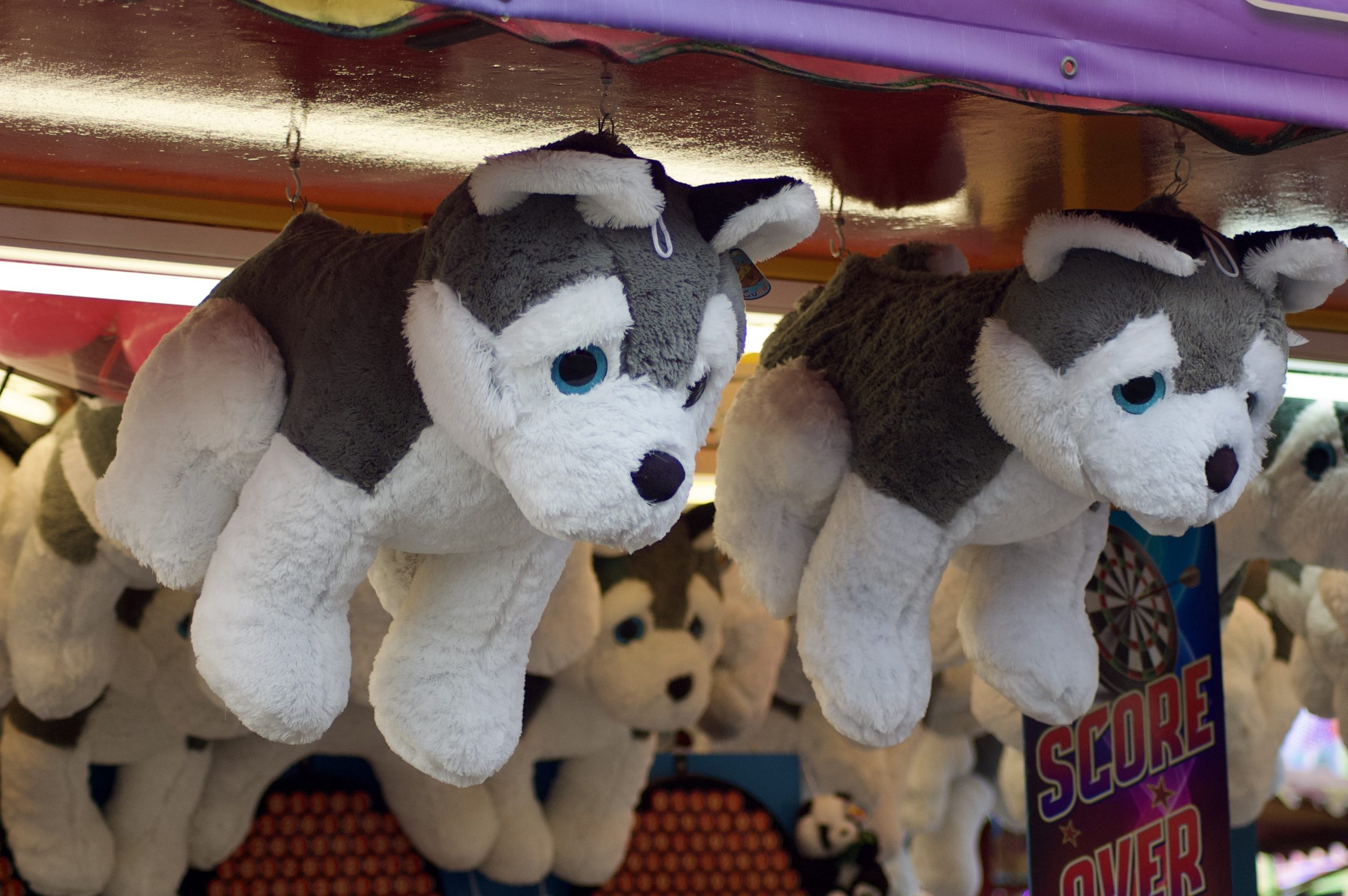 Stuffed Toys