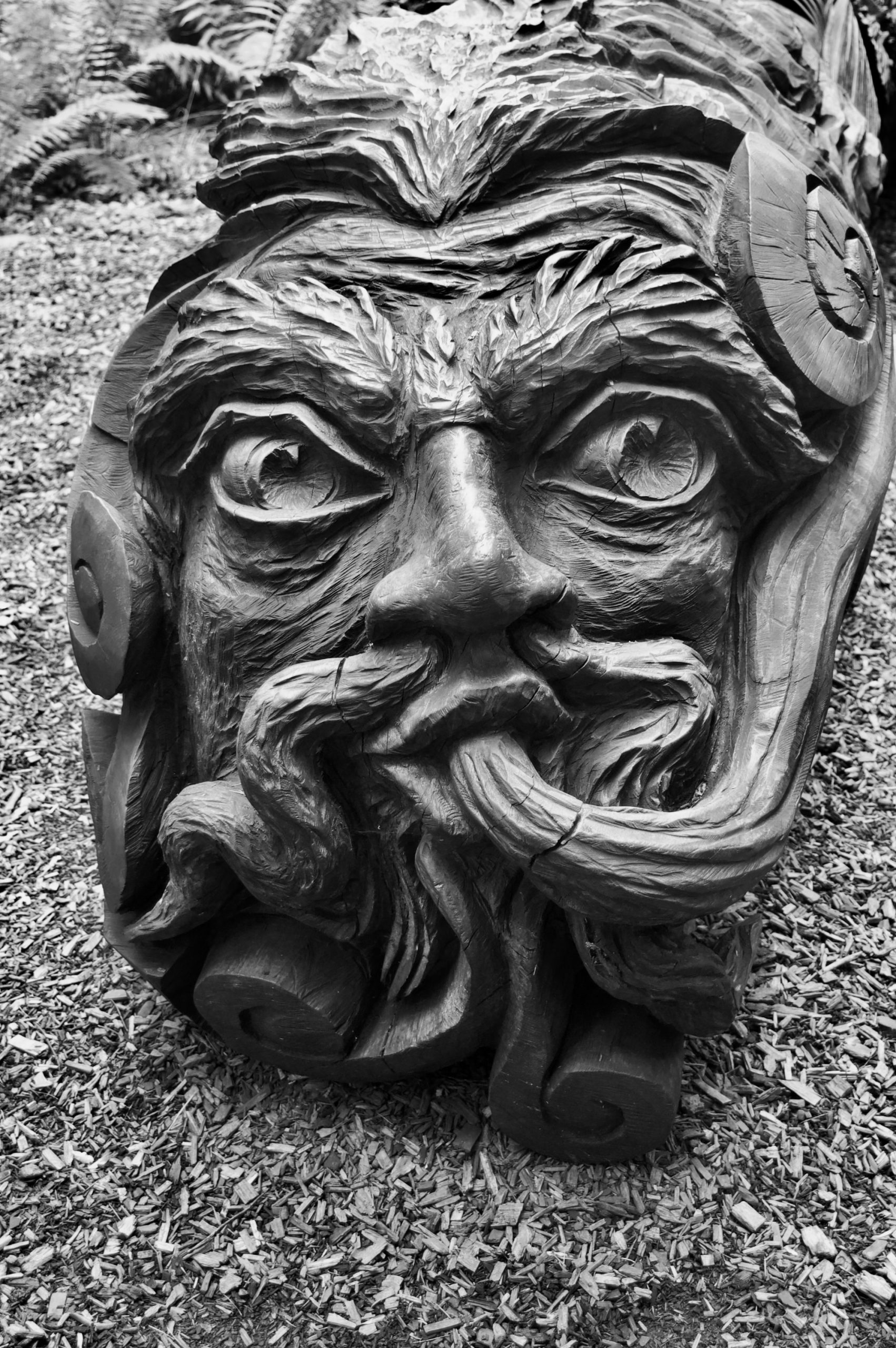 Tree Sculpture, Wallington Hall