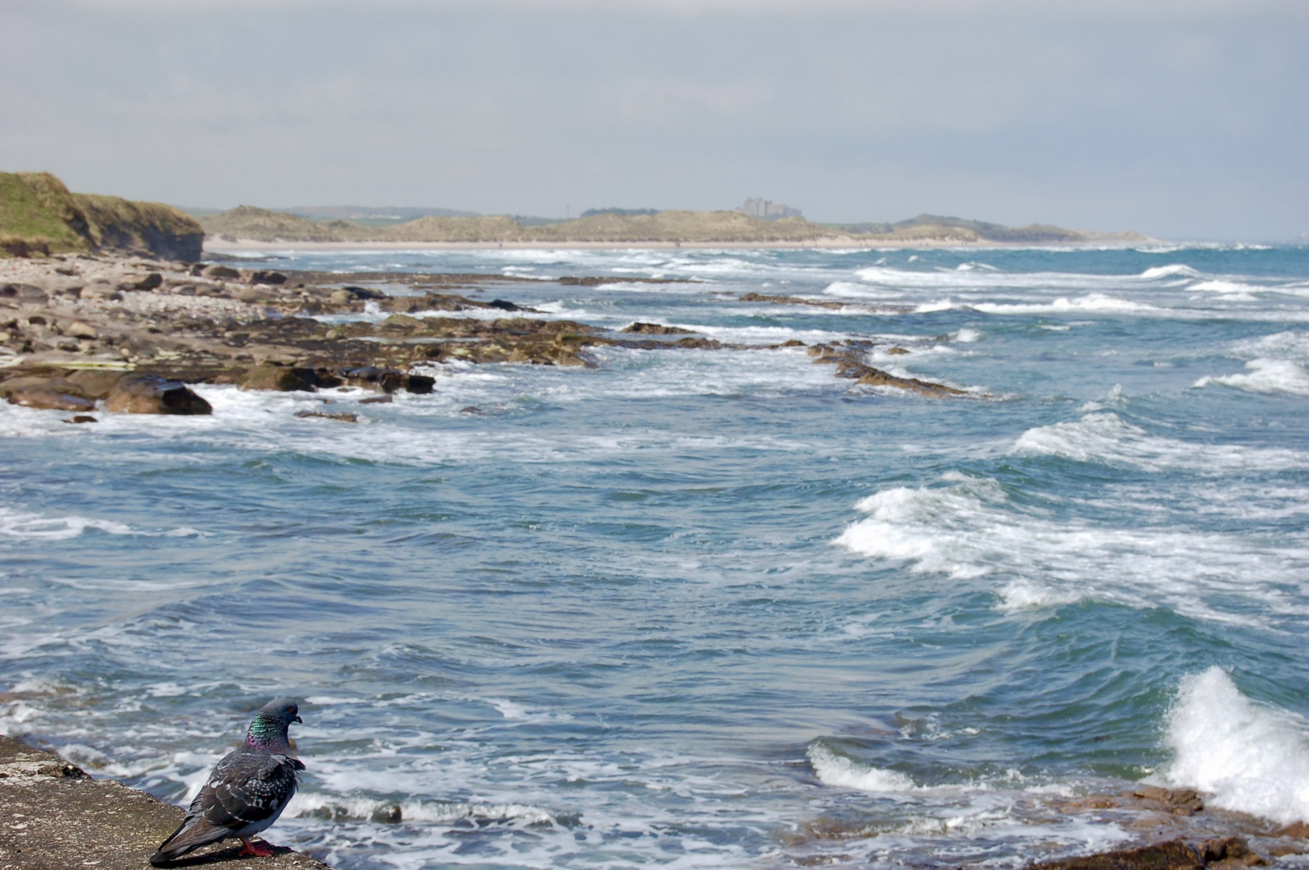 The Northumberland Coast