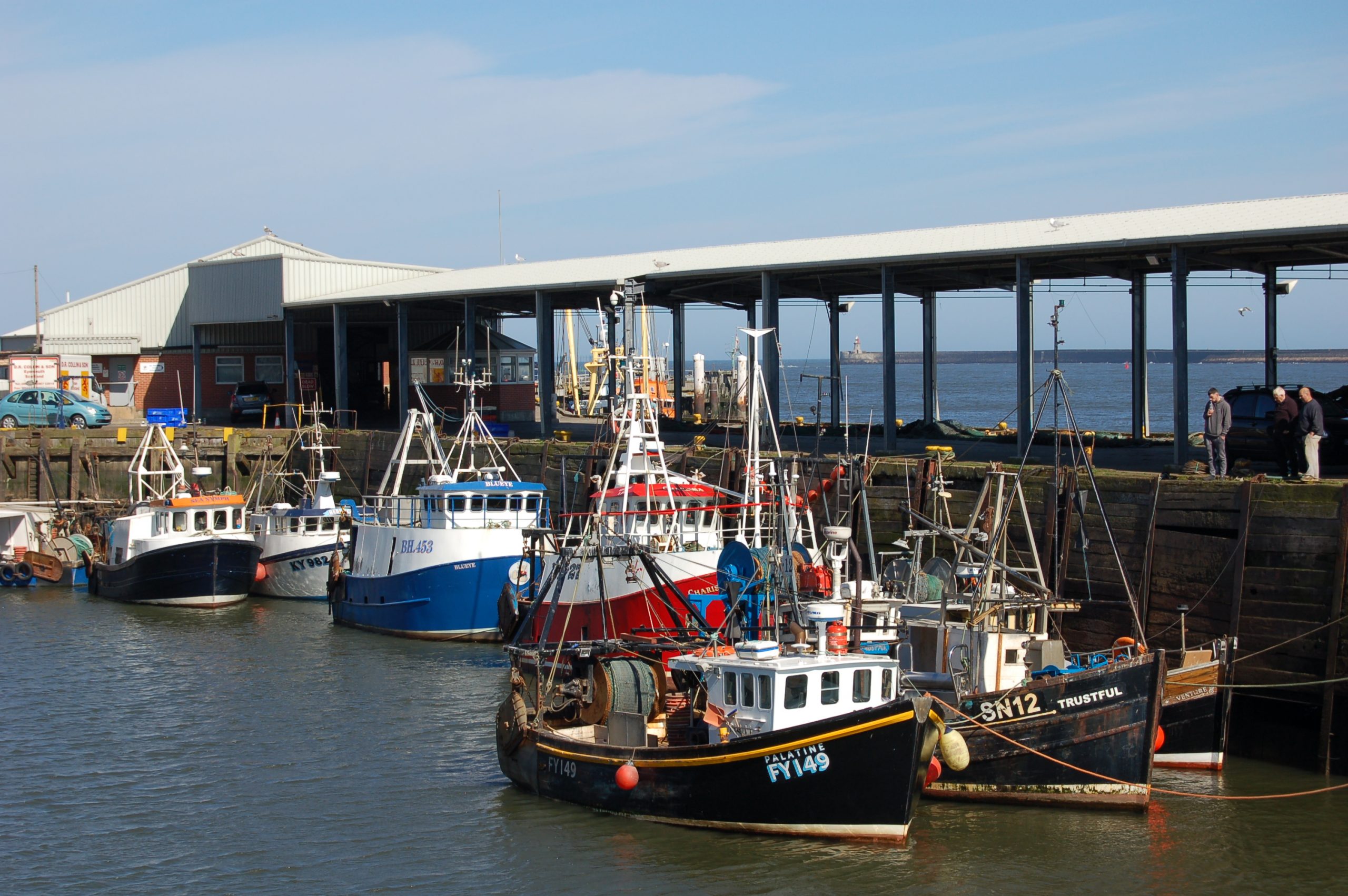 The Fish Quay