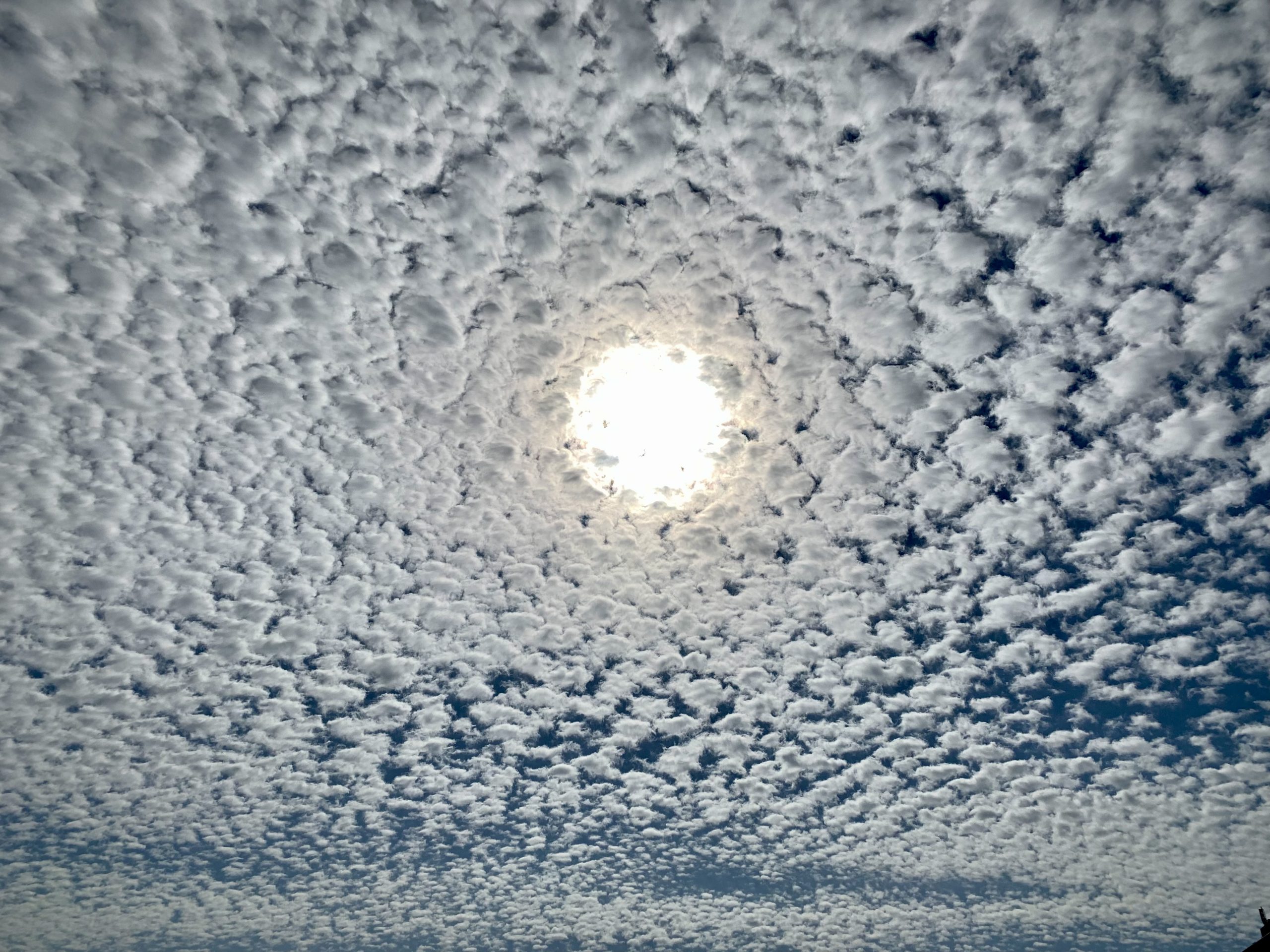 Mackerel Sky