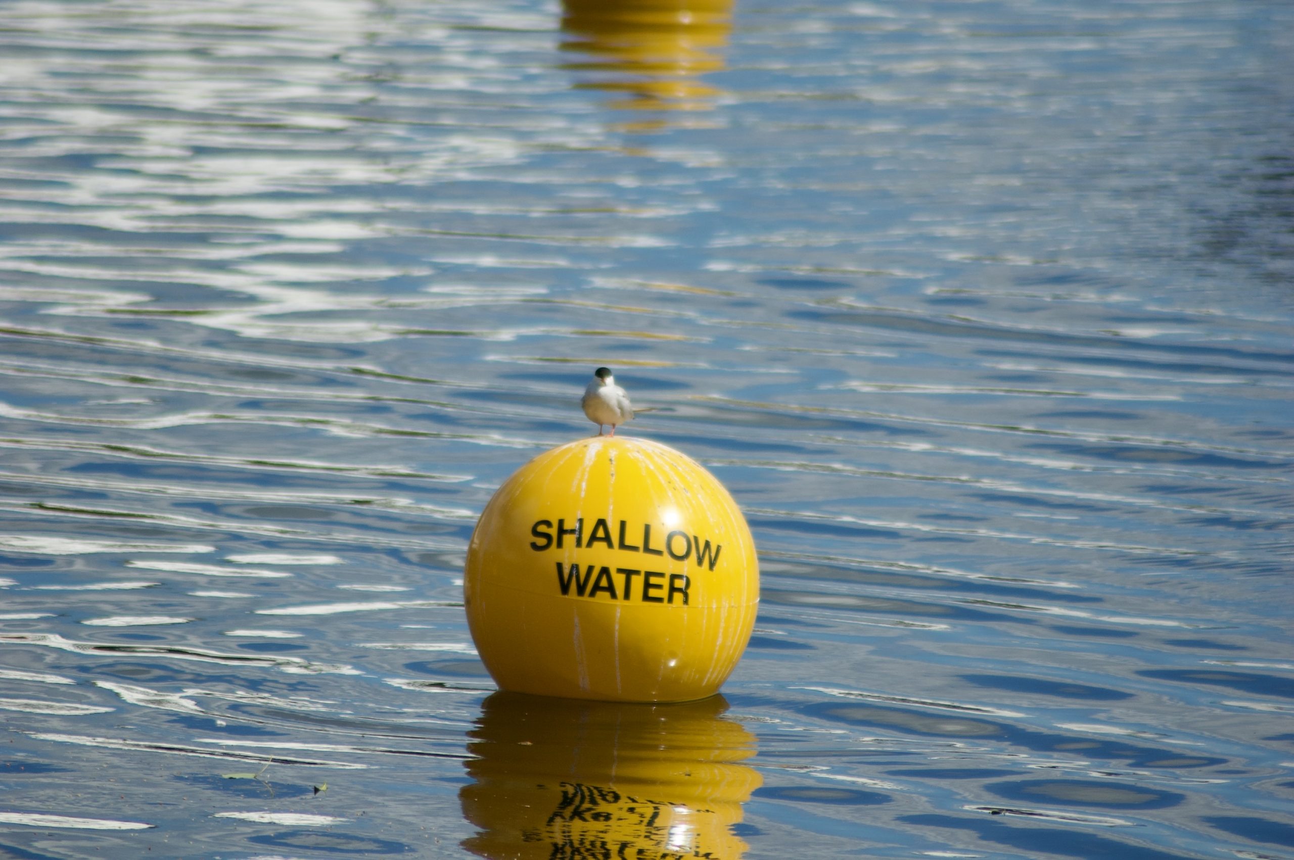 Shallow Water