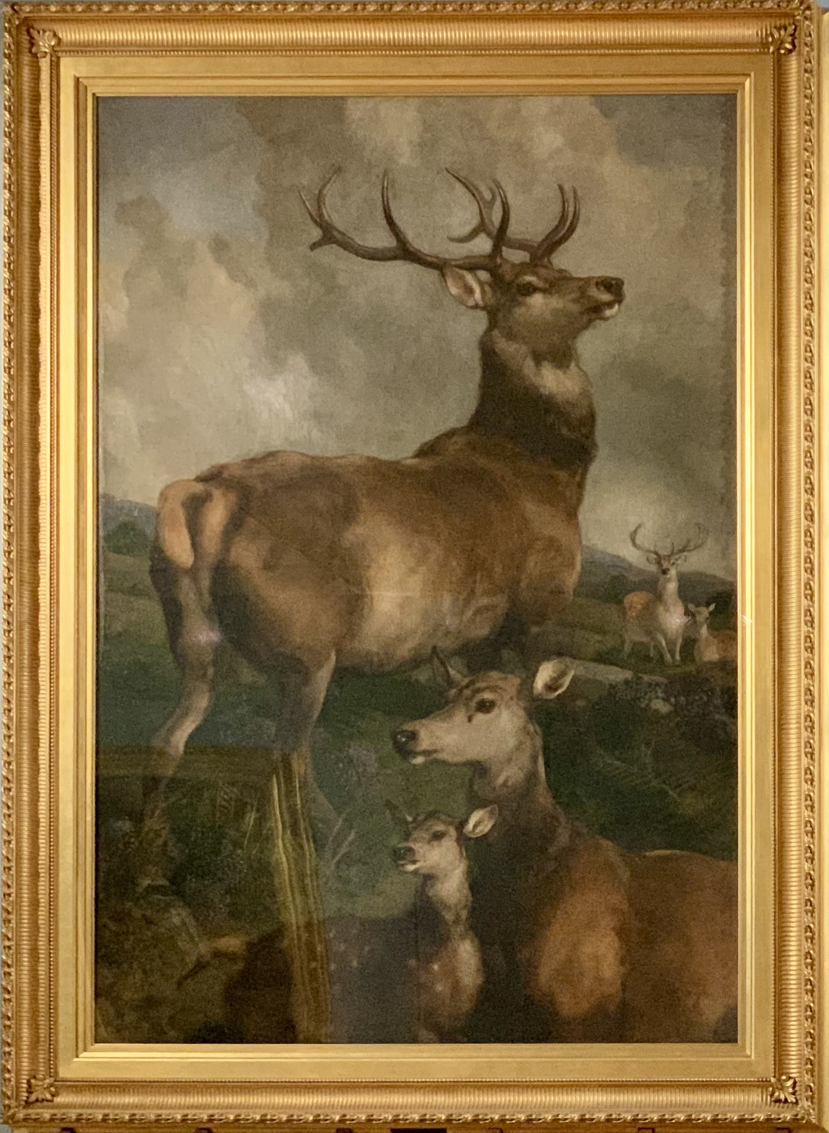 Deer of Chillingham Park, Northumberland