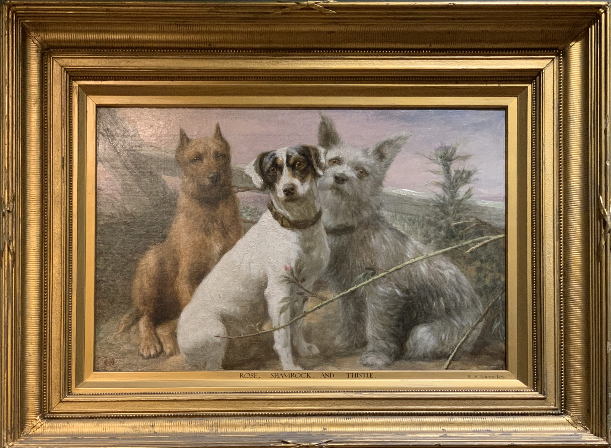 ‘Rose’, ‘Shamrock’ and ‘Thistle’