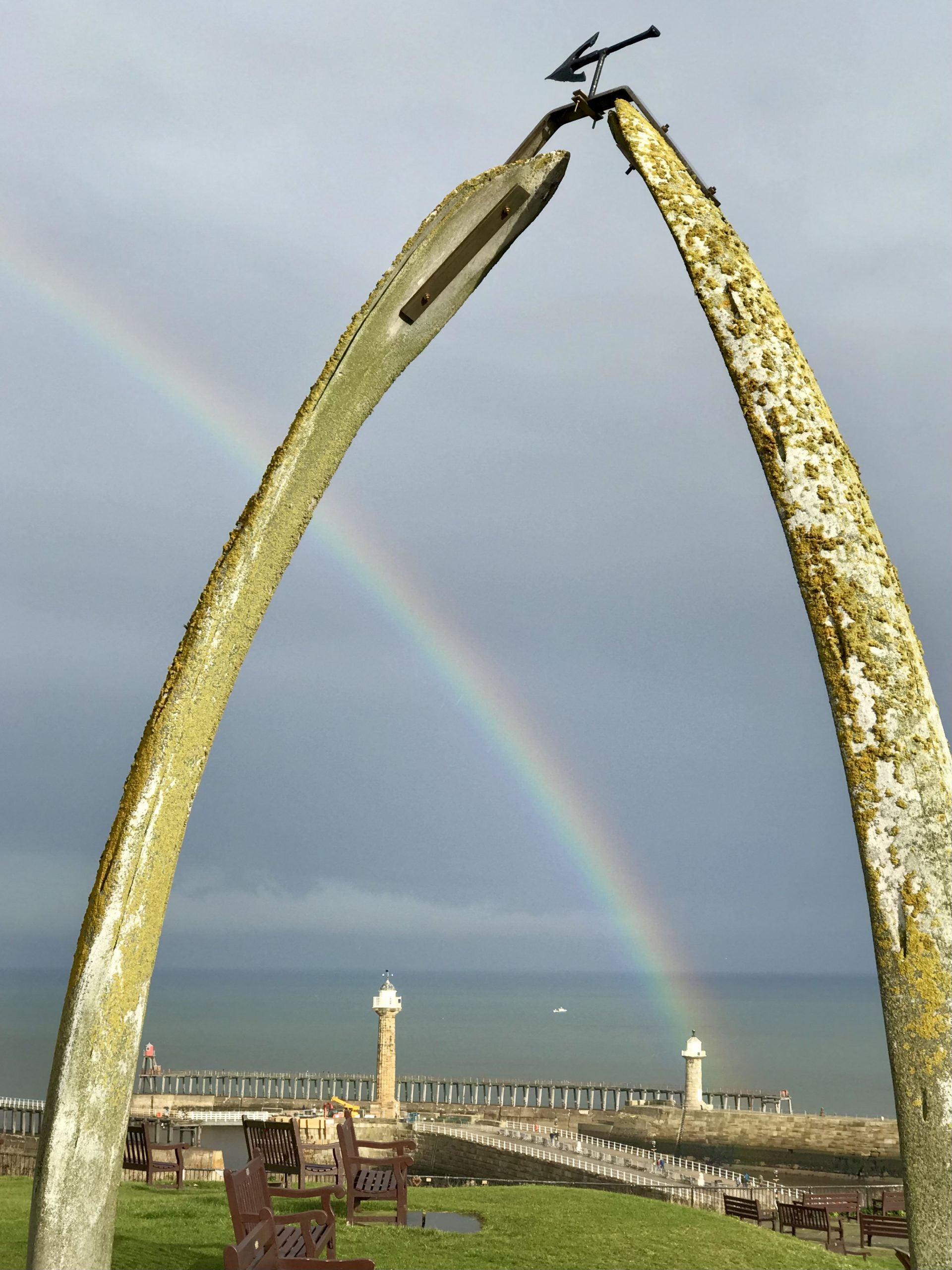 Whitby Whalebones