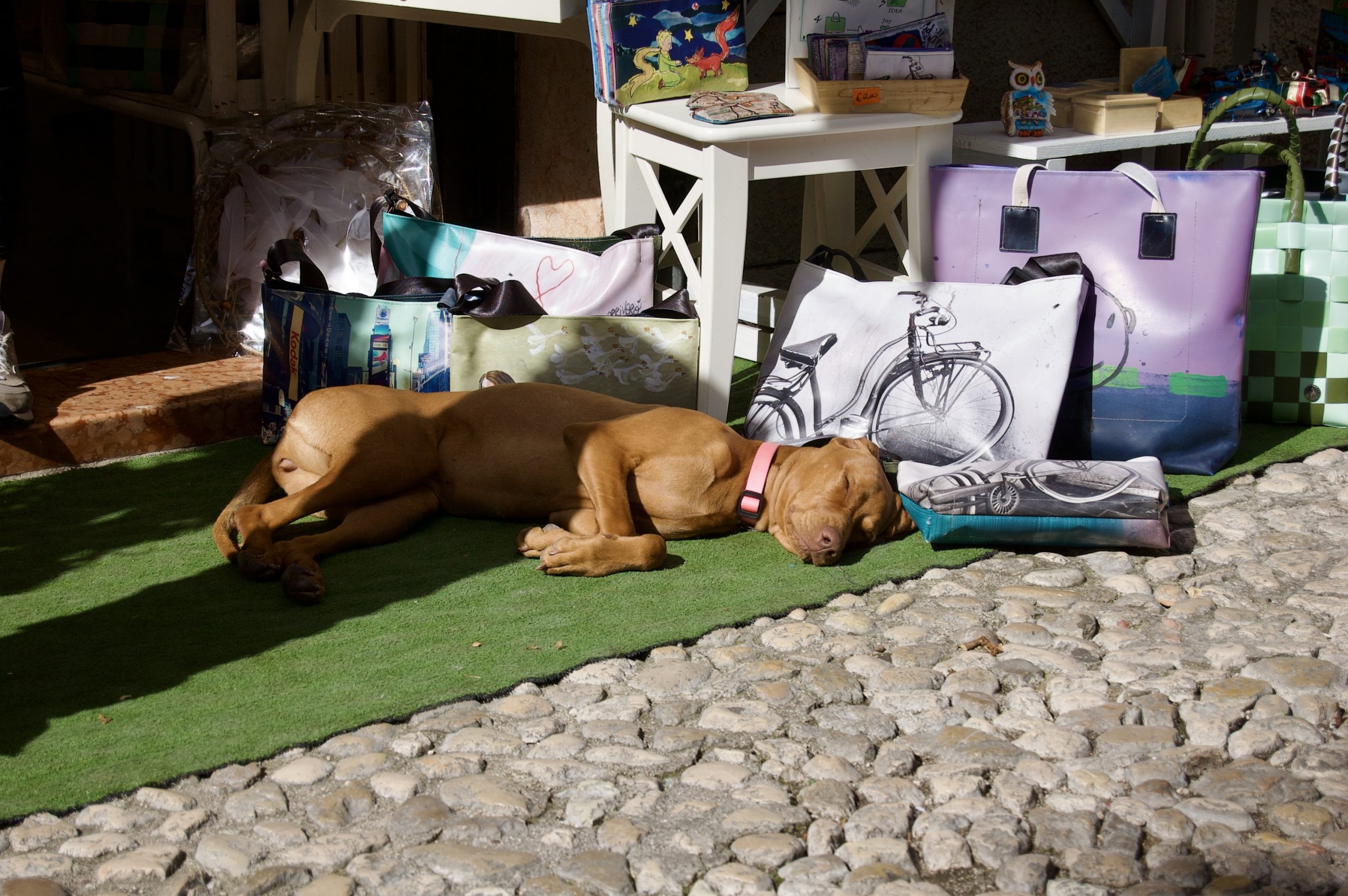 Let Sleeping Dogs Lie