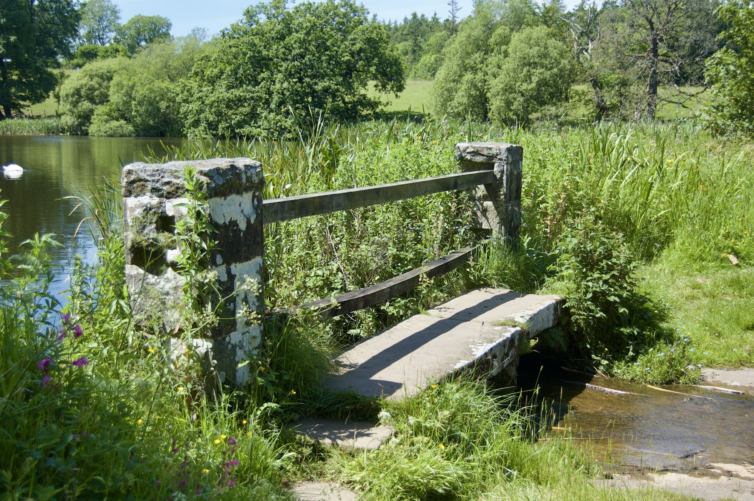 Belsay Bridge