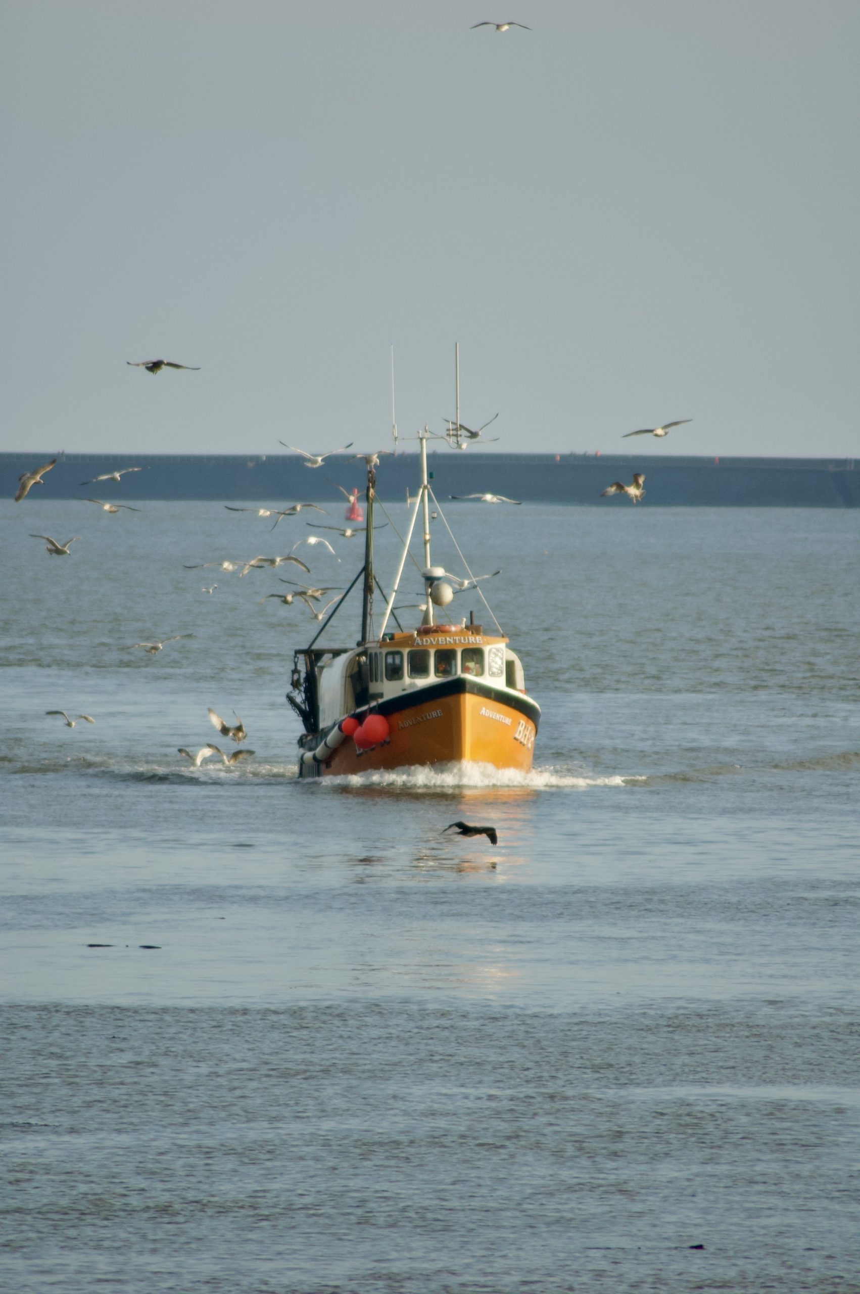 Coming Home with the Catch