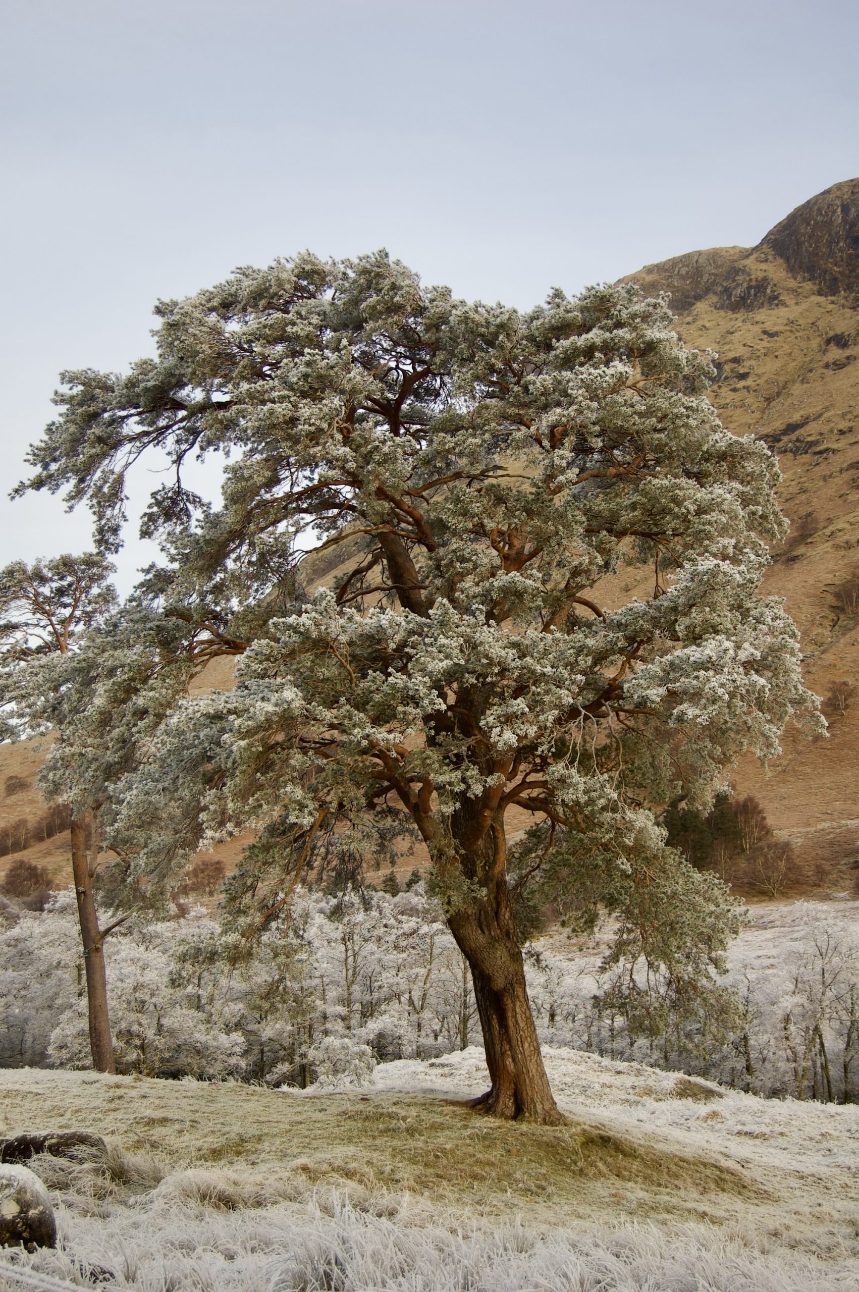 Glen Nevis