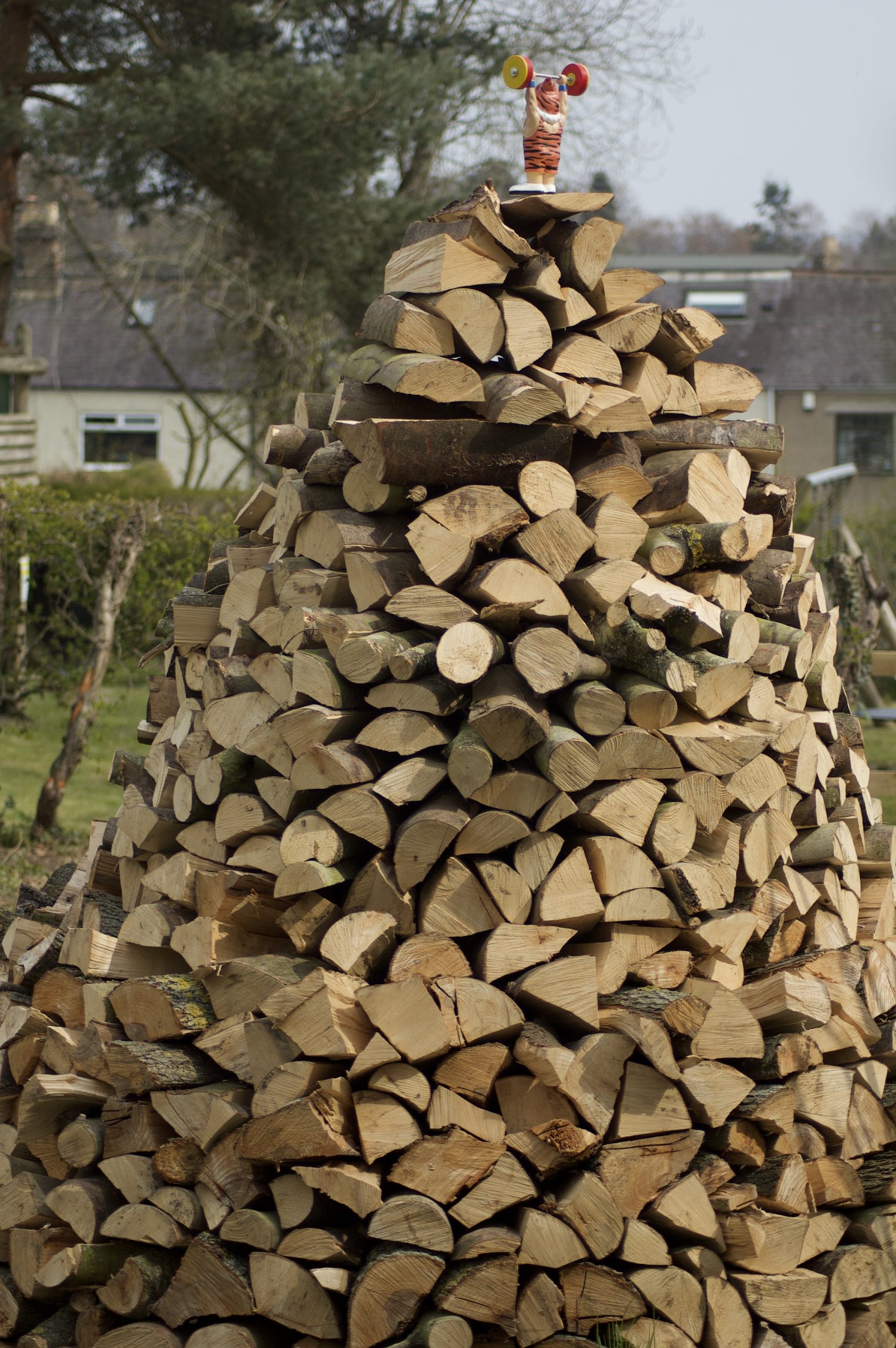 Woodpile Strongman