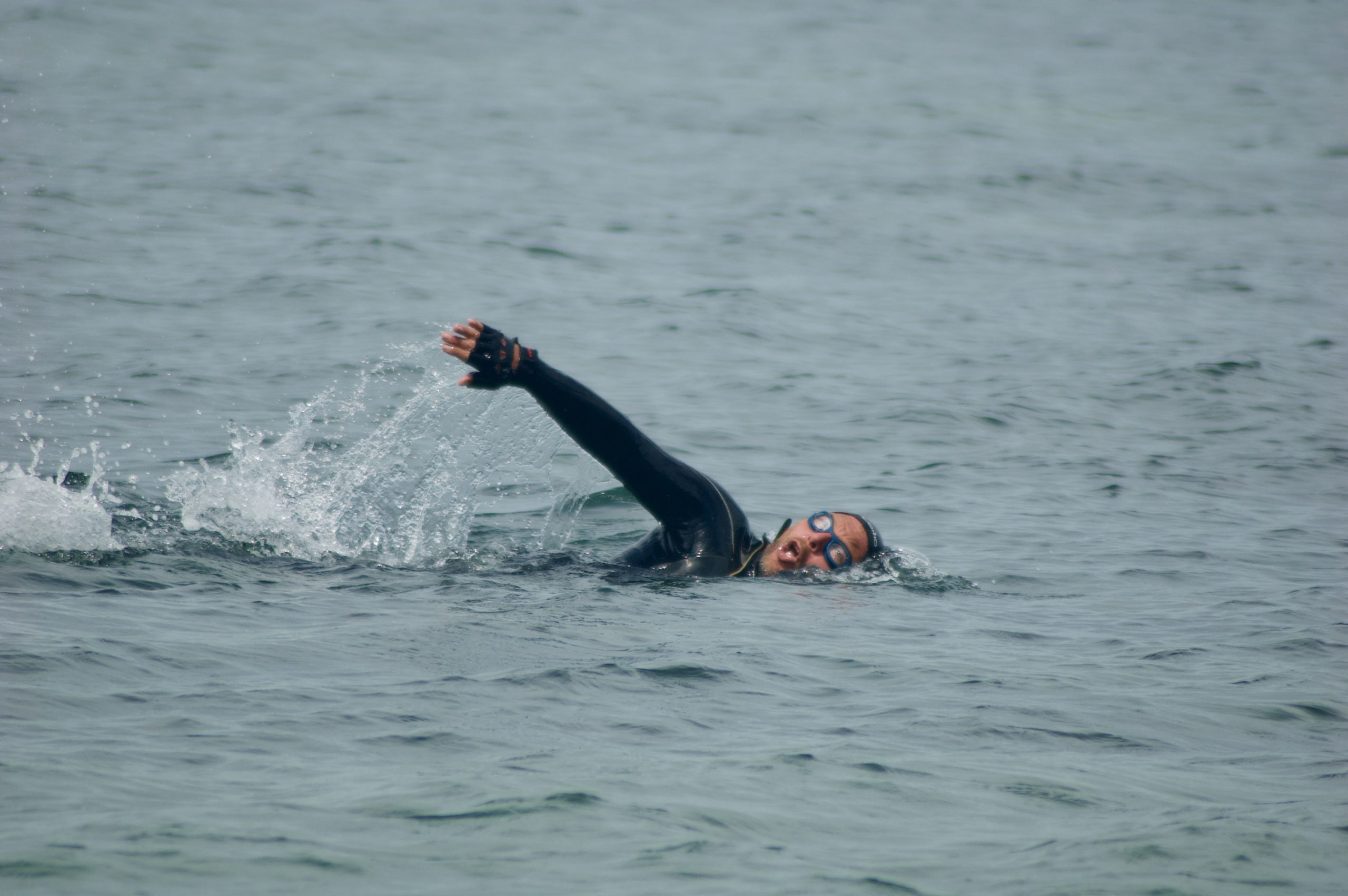 Solent Swimmer