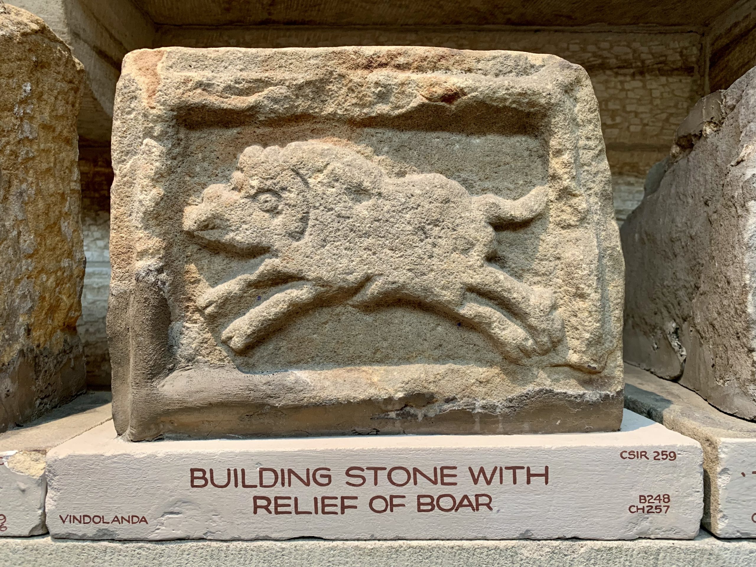 Building Stone with Relief of Boar