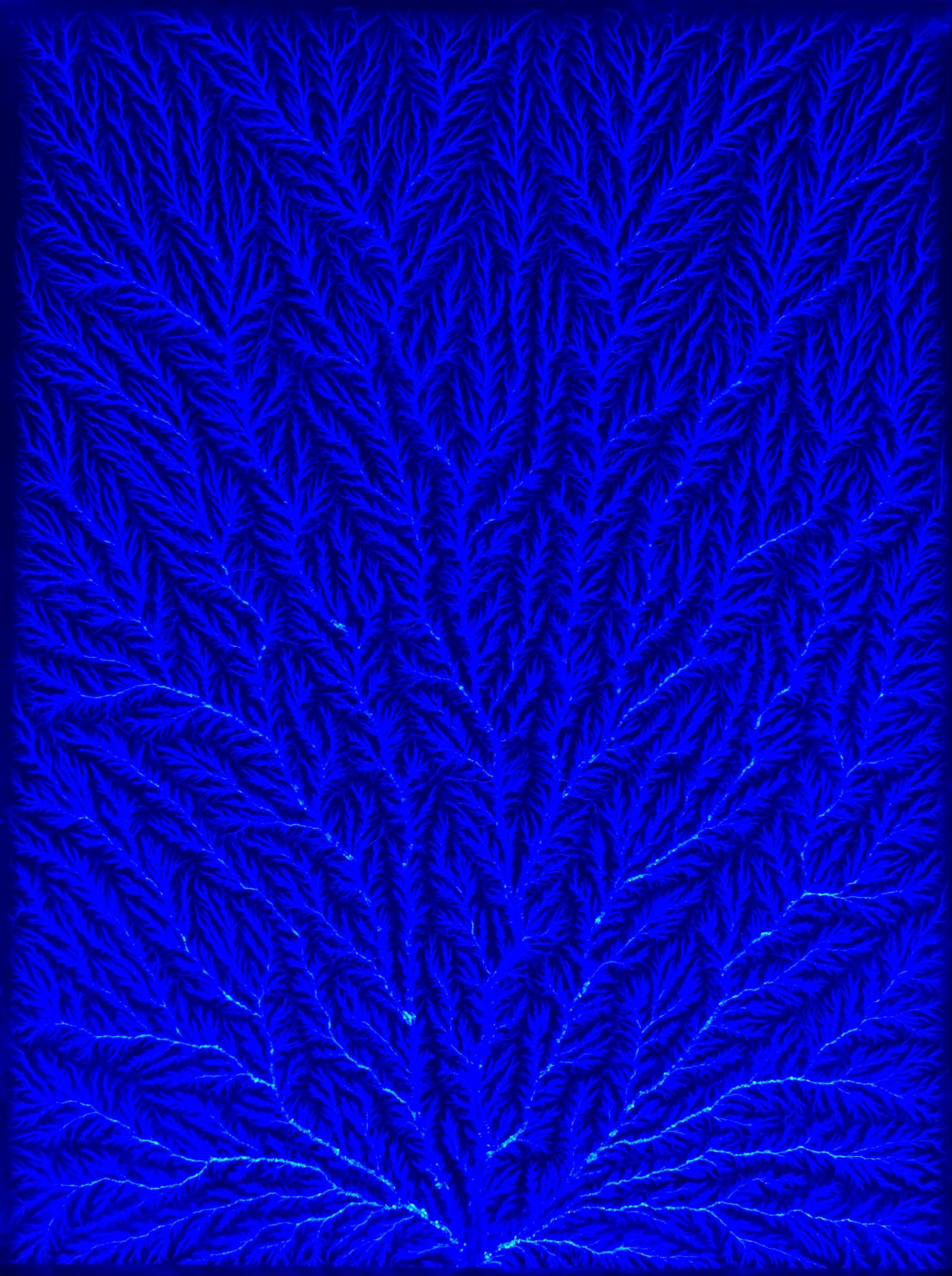 Lichtenberg Figure