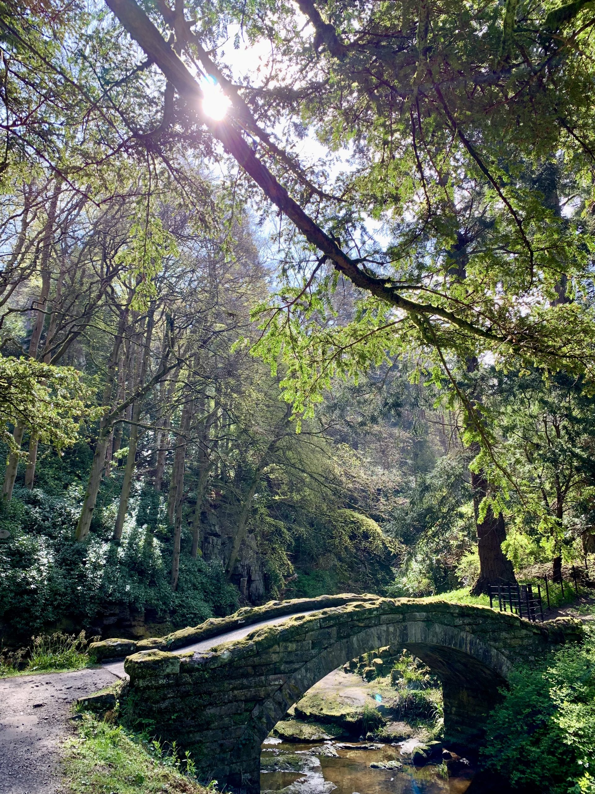 The Footbridge