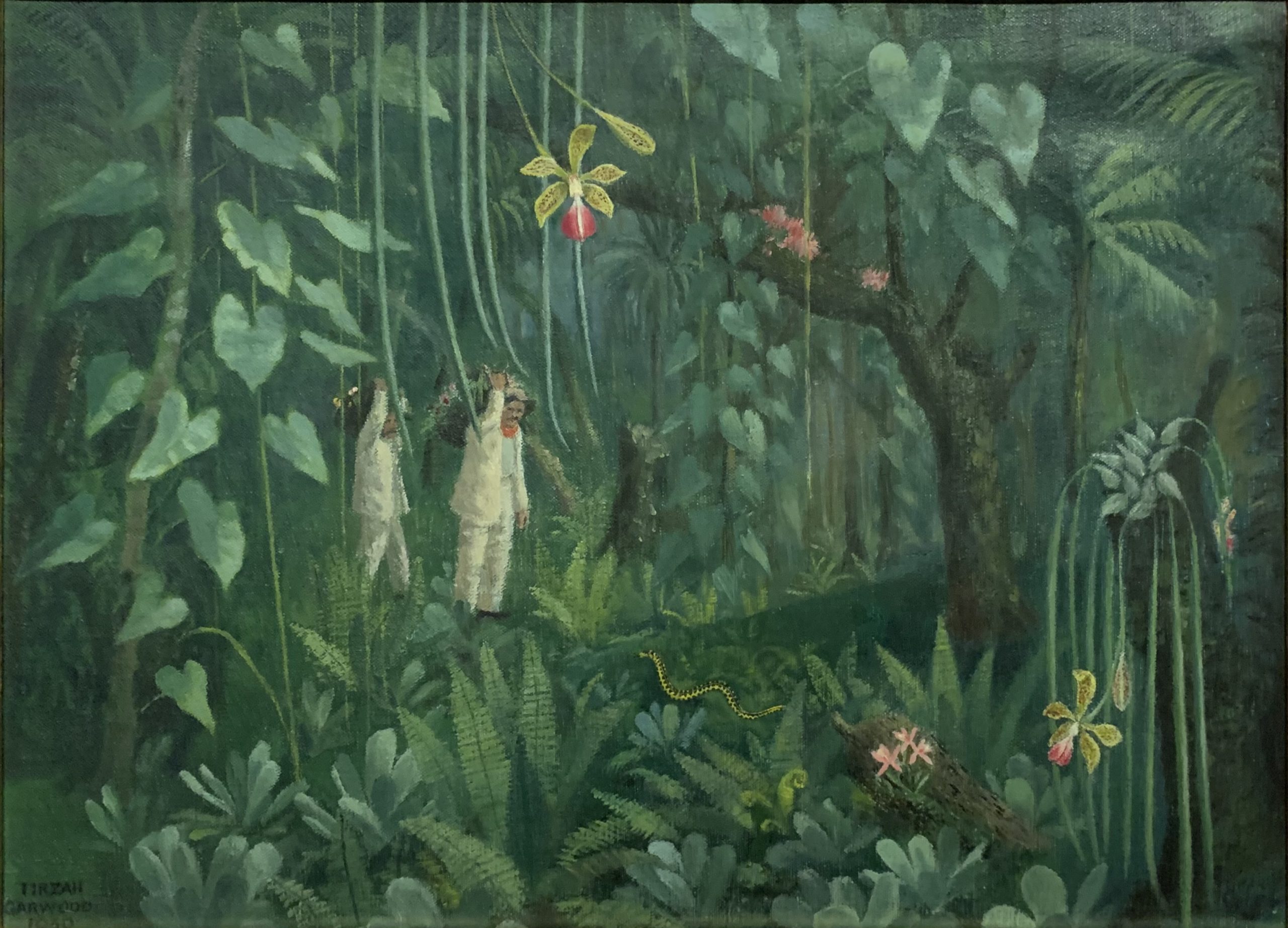 Orchid Hunters in Brazil