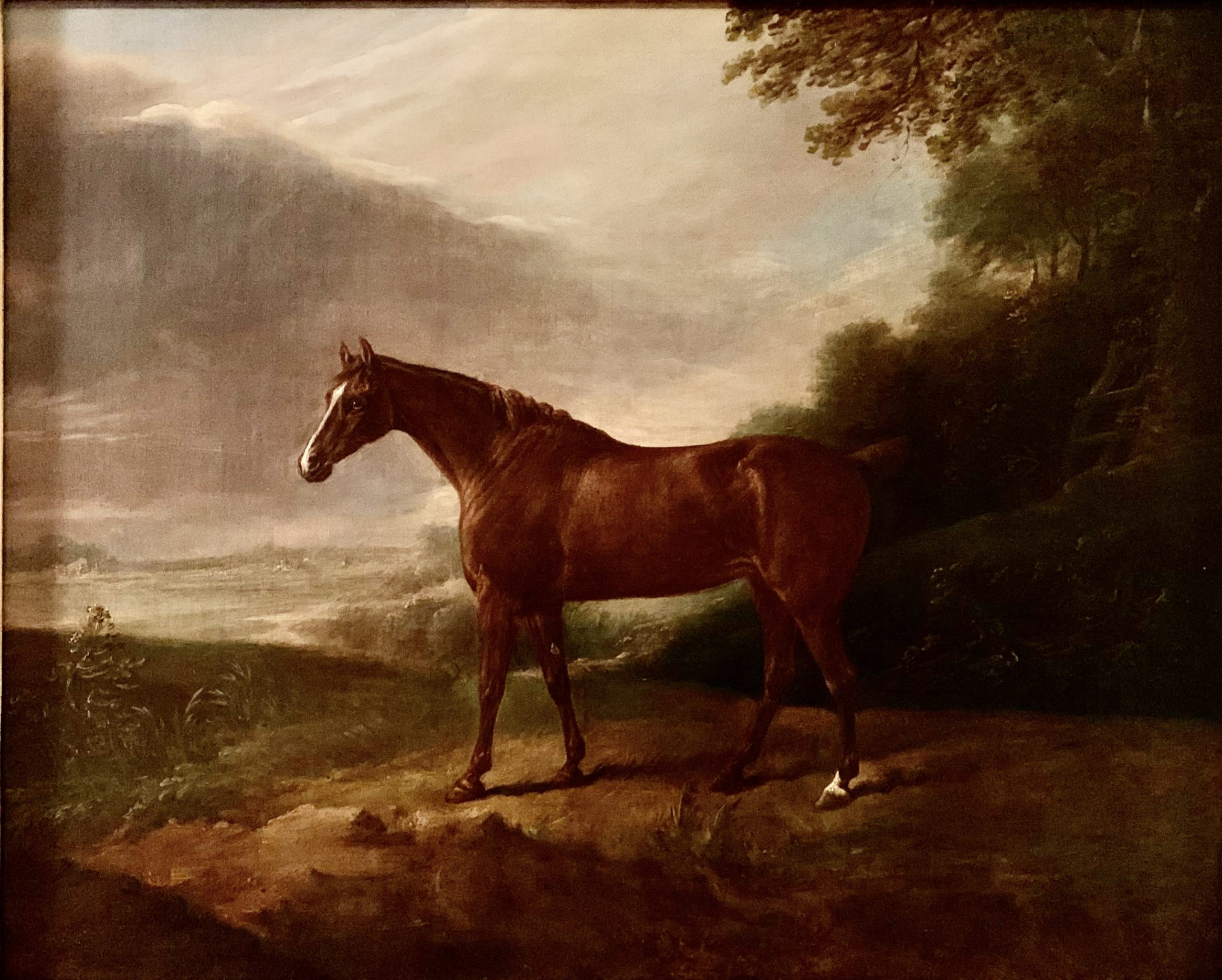 A Horse called ‘White Sorrel’, in a Landscape