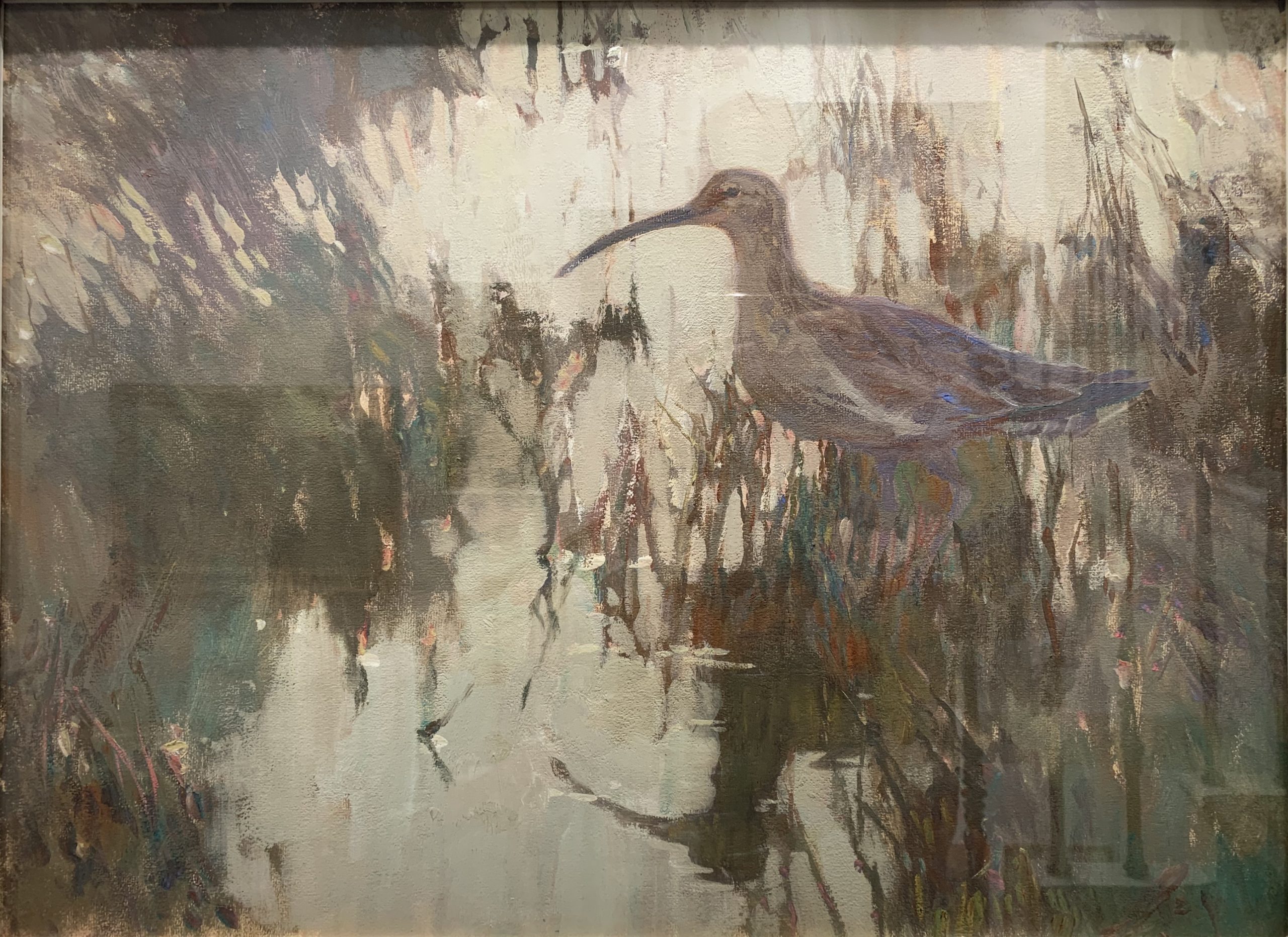 The Curlew, Twilight