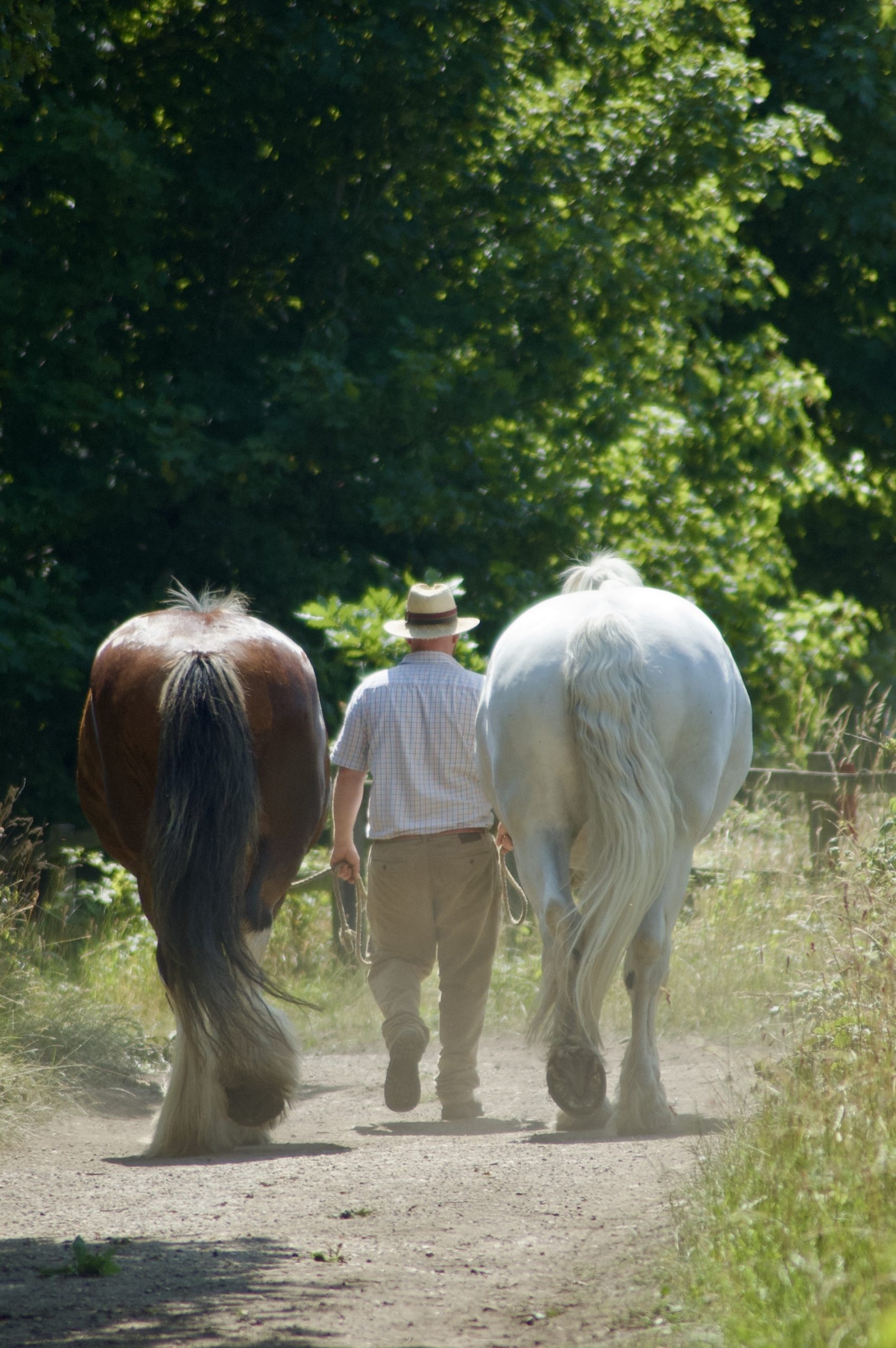 On they way to the field