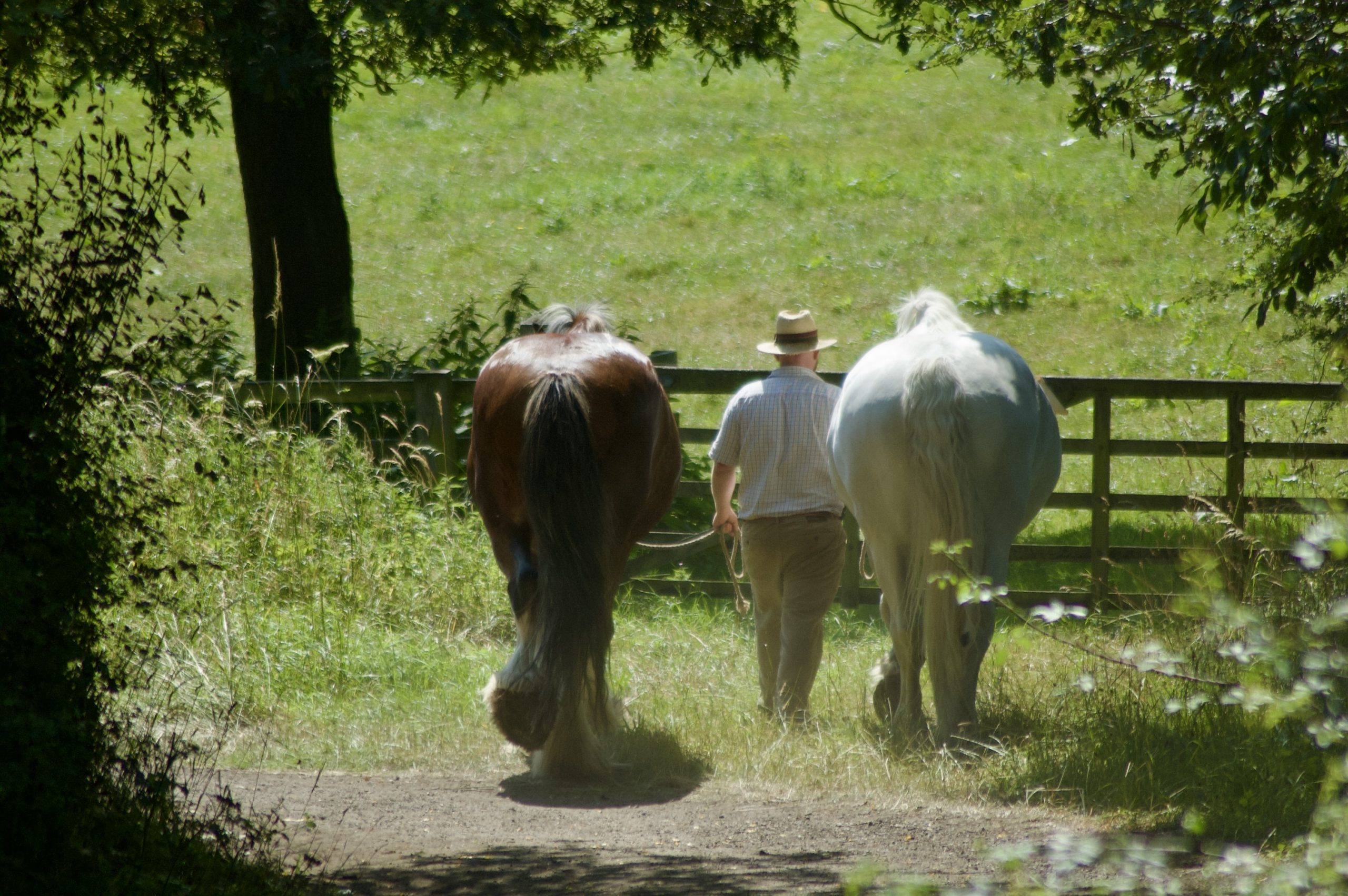 On they way to the field