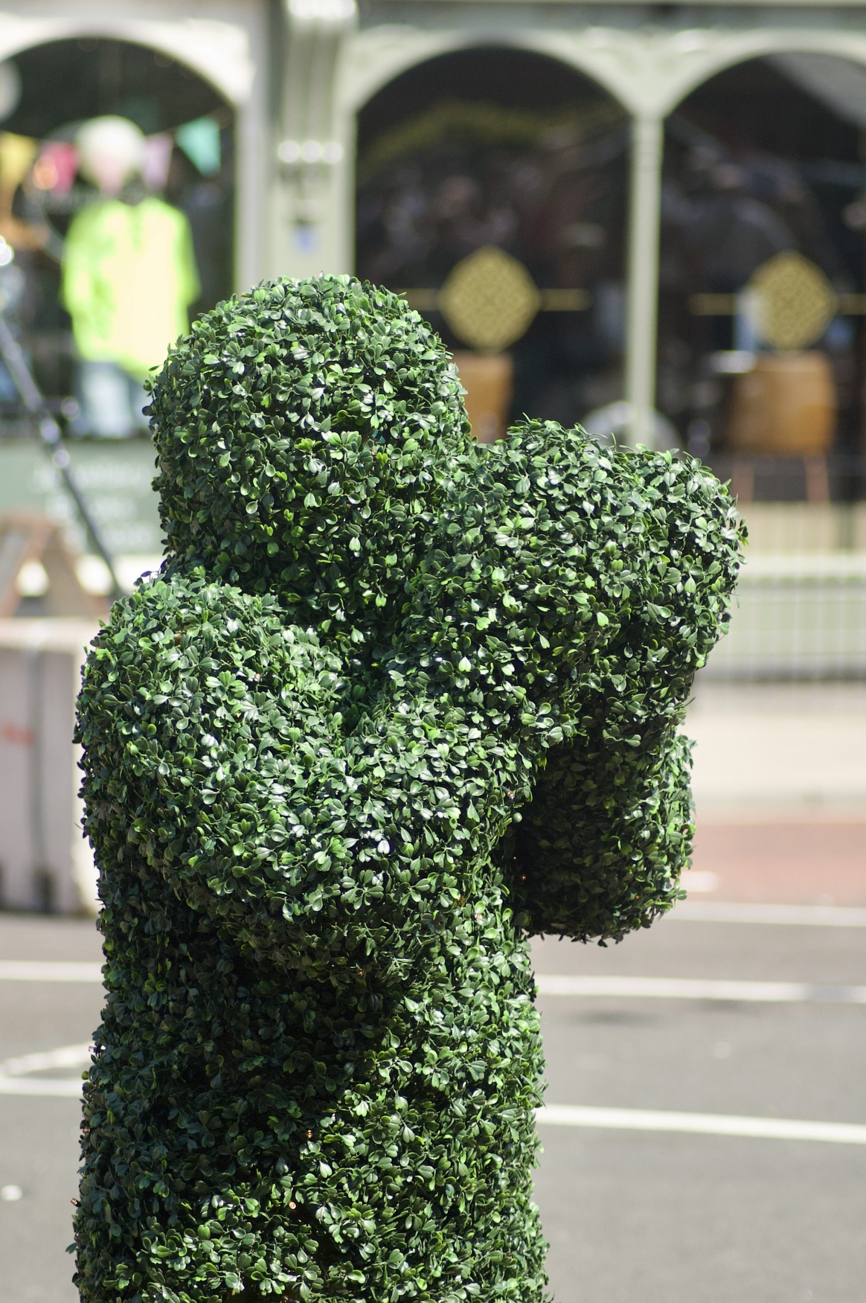 Mr Hedge