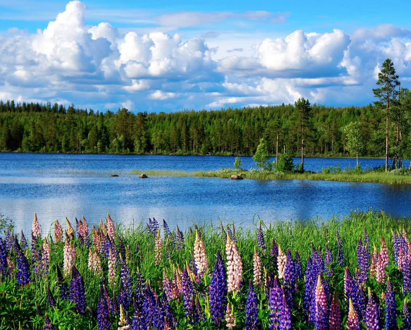 Landscape Photography