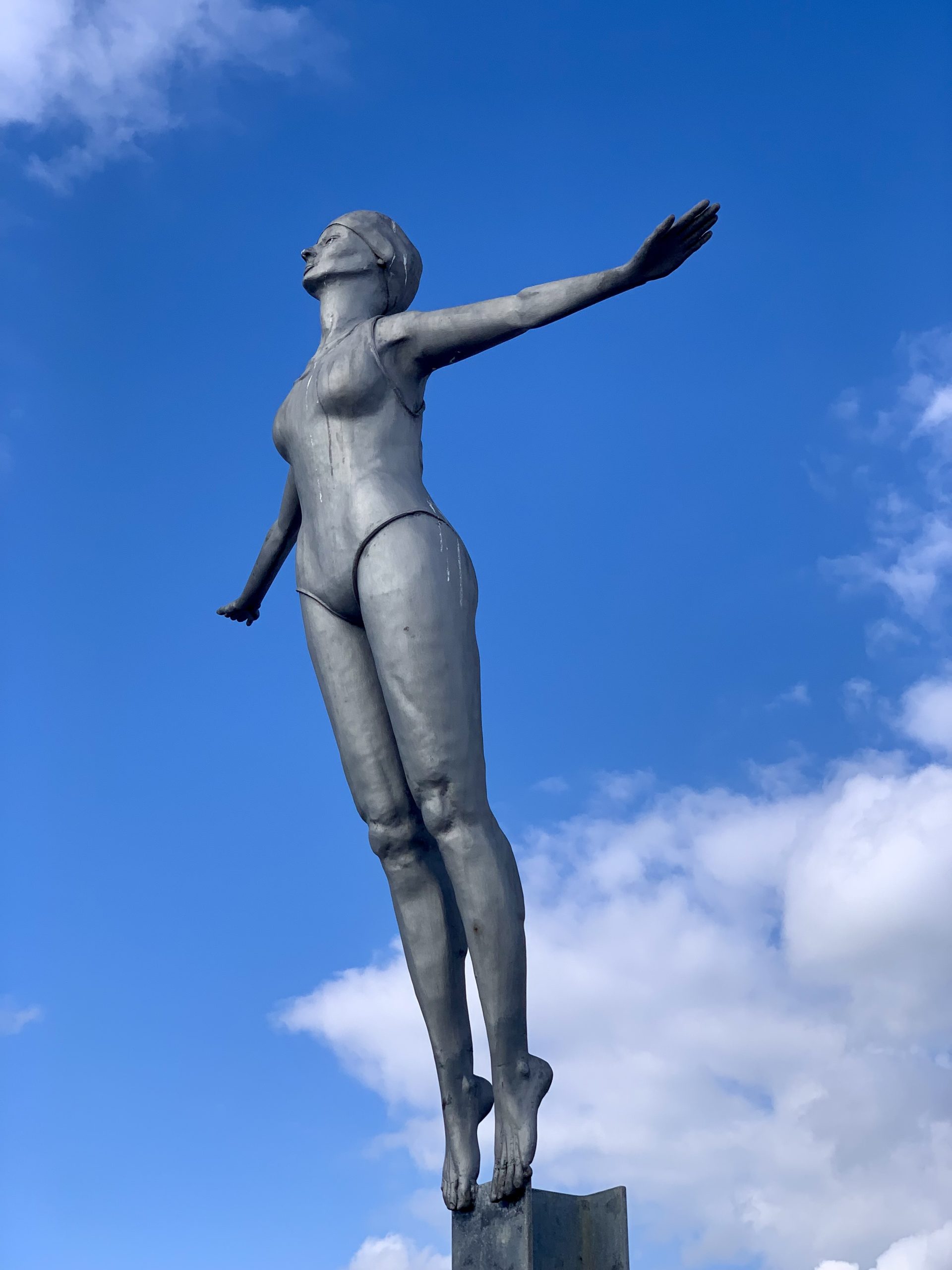 The Diving Belle 